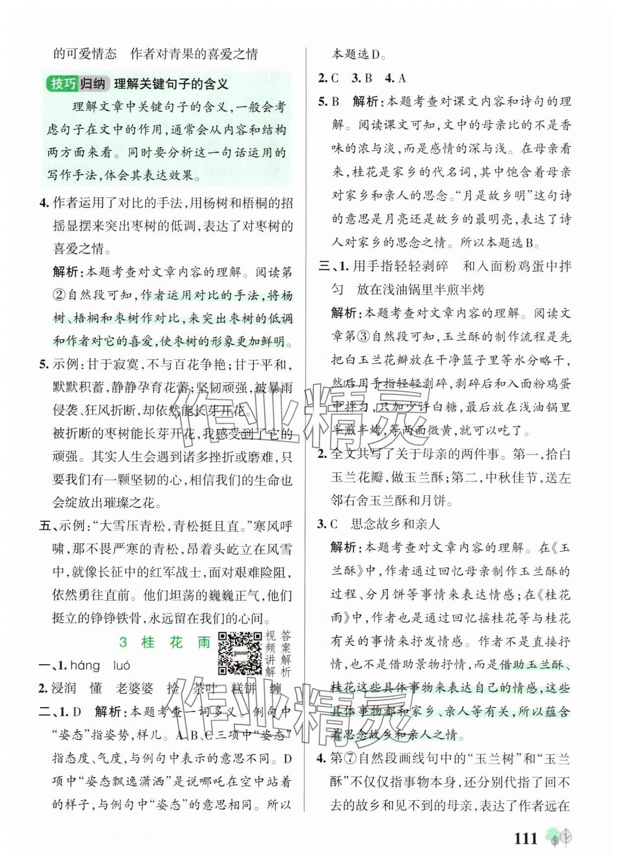 2025年綠卡提優(yōu)特訓五年級語文上冊人教版&nbsp;參考答案第3頁