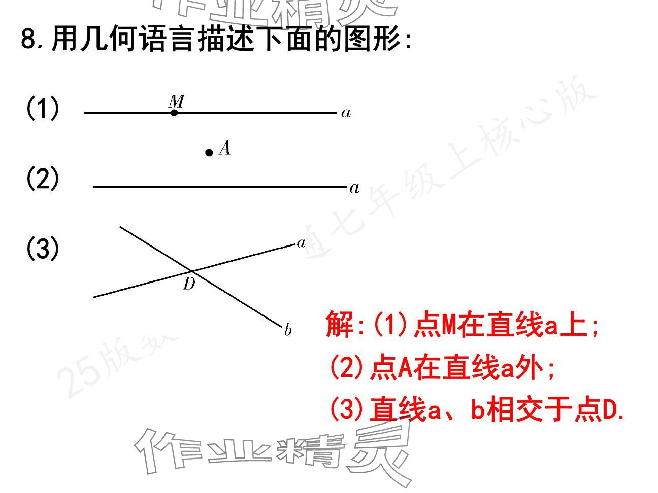 2024年一本通武漢出版社七年級數(shù)學上冊北師大版核心板 參考答案第7頁