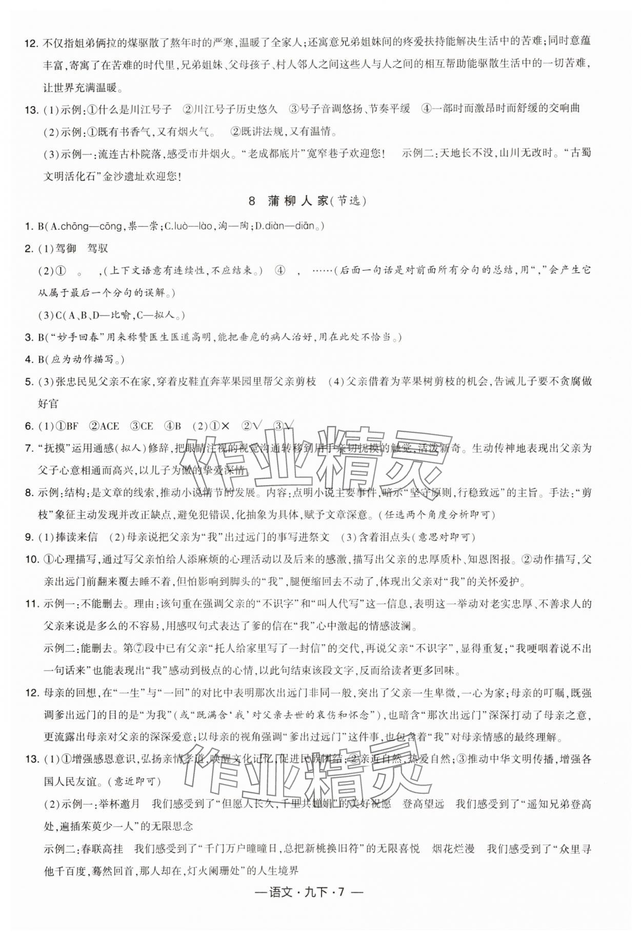 2025年經(jīng)綸學(xué)典課時作業(yè)九年級語文下冊人教版 第7頁