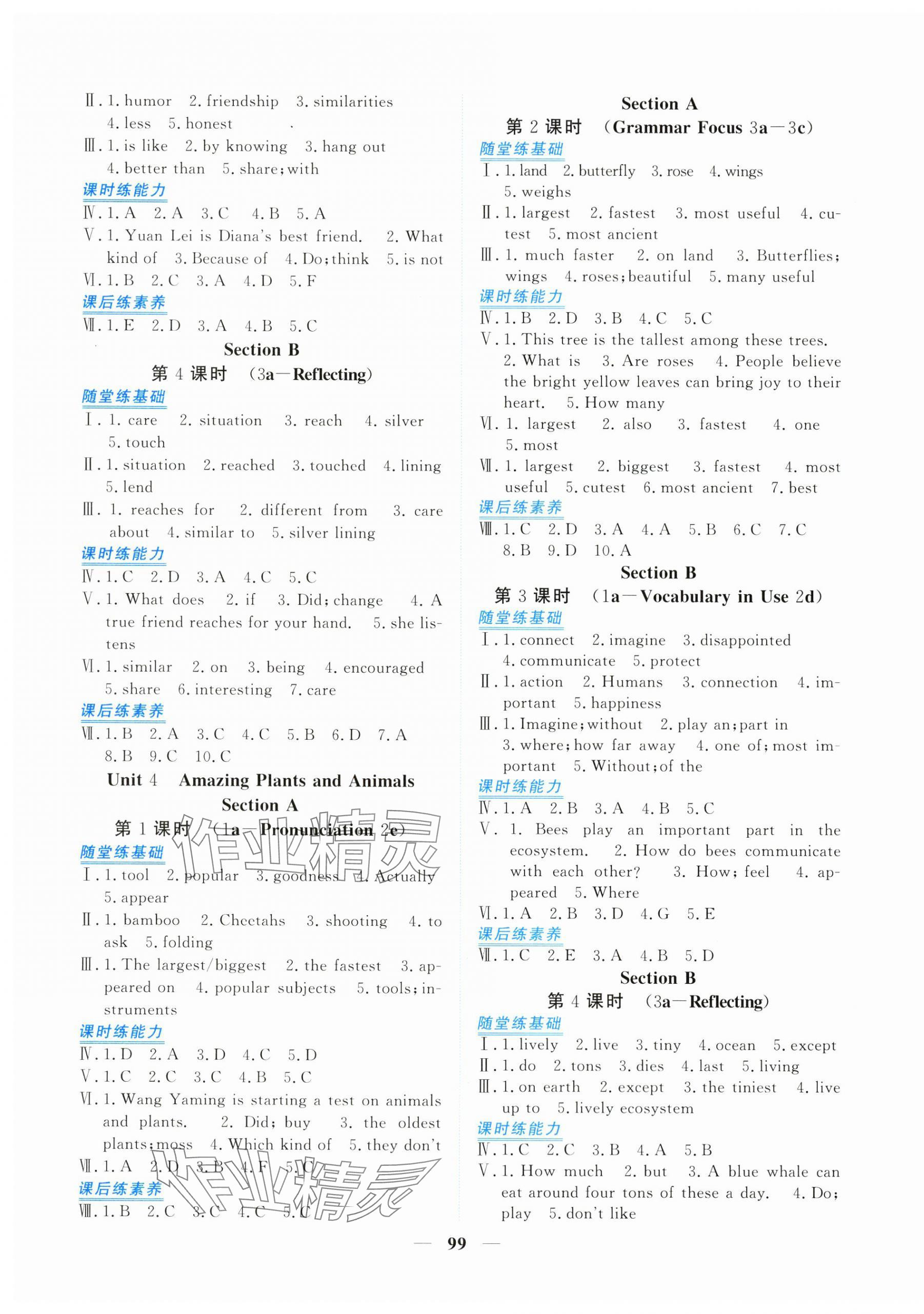 2025年新坐标同步练习八年级英语上册人教版青海专用 第3页