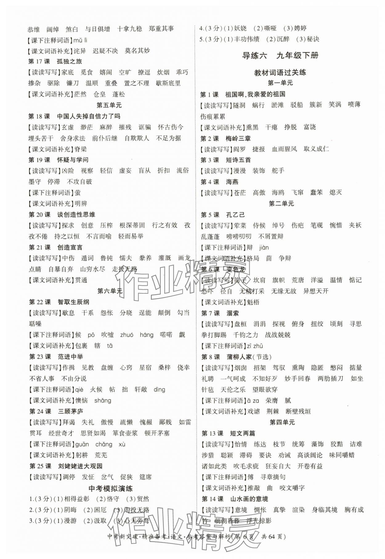 2025年中考新突破精準(zhǔn)備考語文廣東專版 第6頁