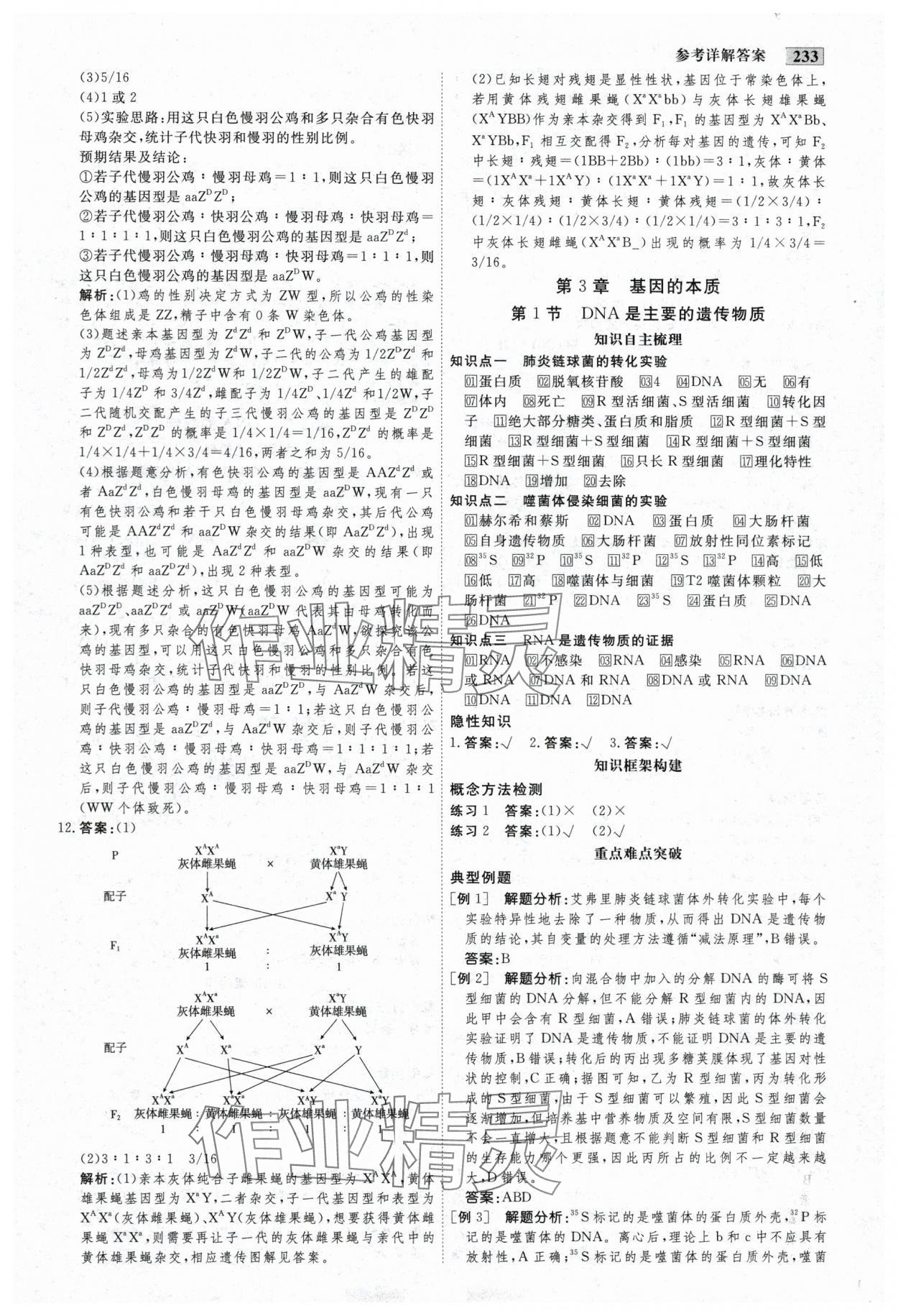 2025年金版教程高中新課程創新導學案生物必修2人教版 參考答案第11頁