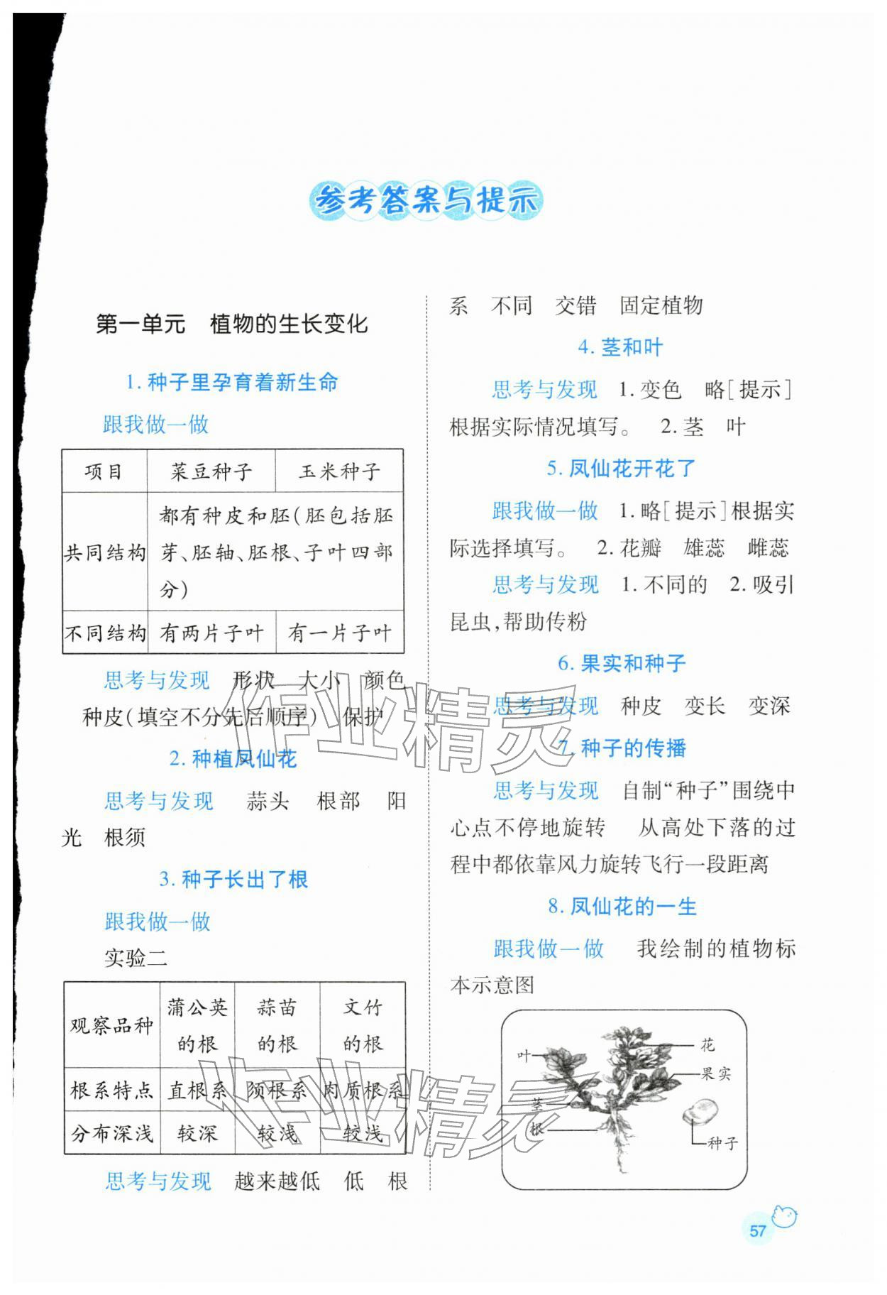 2026年绩优学案四年级科学下册教科版&nbsp;第1页