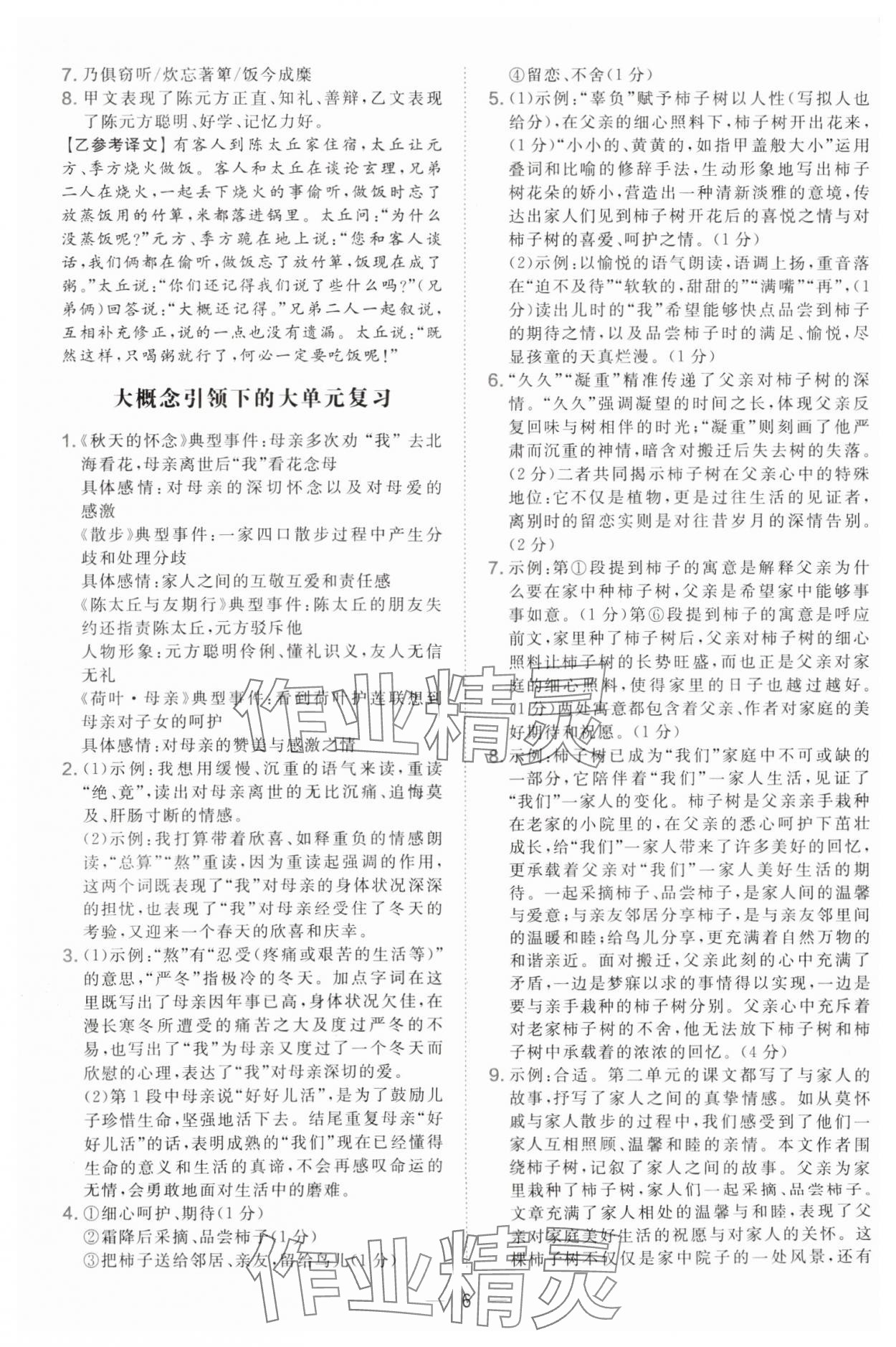 2025年點(diǎn)撥訓(xùn)練七年級語文上冊人教版遼寧專版 參考答案第6頁