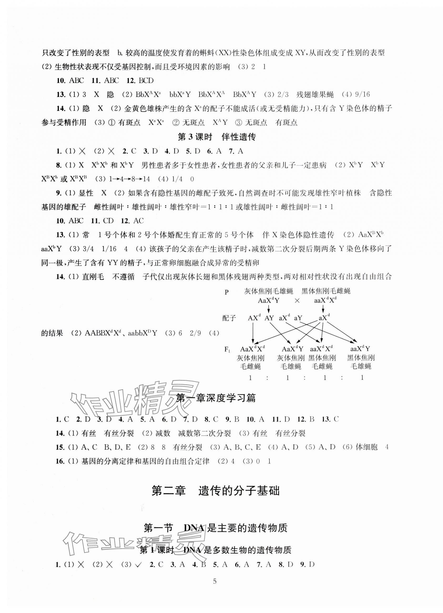 2024年鳳凰新學(xué)案高中生物必修2蘇教版 第5頁(yè)