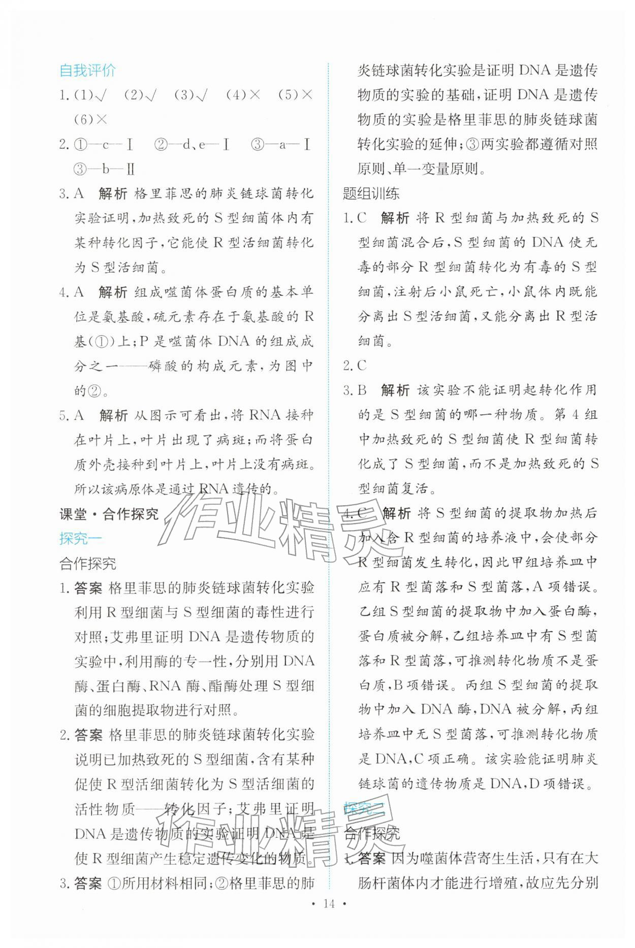 2026年能力培养与测试高中生物必修2(已禁用勿选)人教版&nbsp;参考答案第13页
