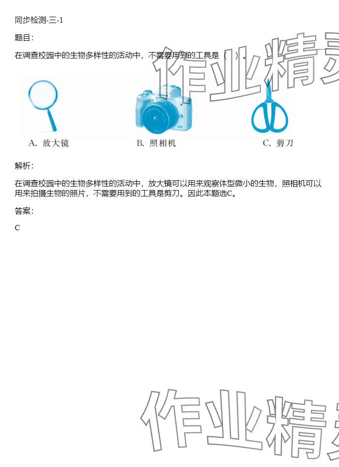 2024年同步實踐評價課程基礎(chǔ)訓(xùn)練六年級科學(xué)下冊教科版 參考答案第74頁