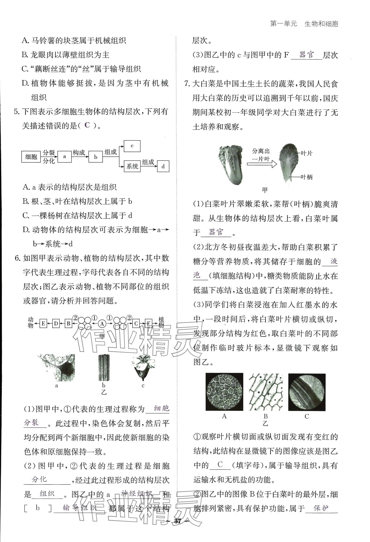 2024云南省标准教辅优佳学案七年级生物上册 参考答案第37页