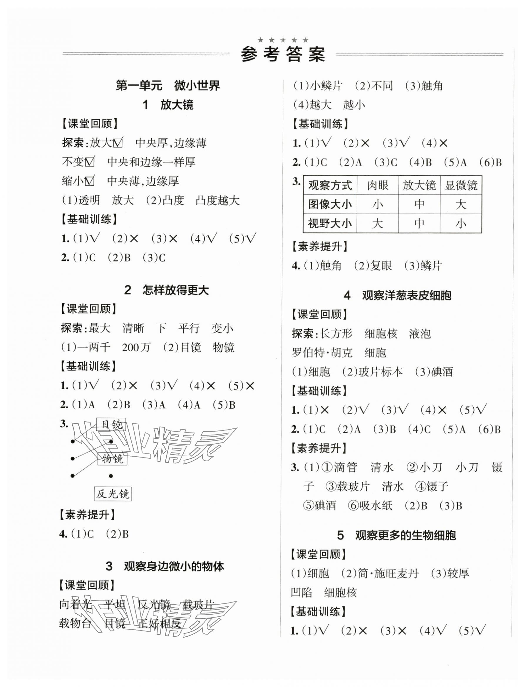 2024年小学学霸作业本六年级科学上册教科版 参考答案第1页