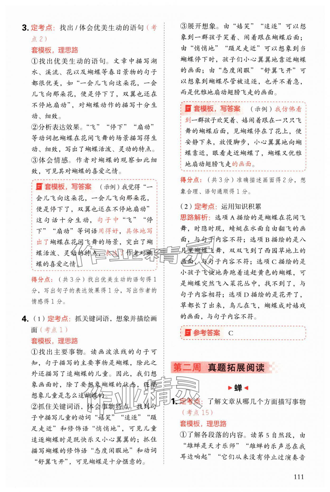 2025年閱讀理解與答題模板三年級語文下冊人教版 參考答案第3頁
