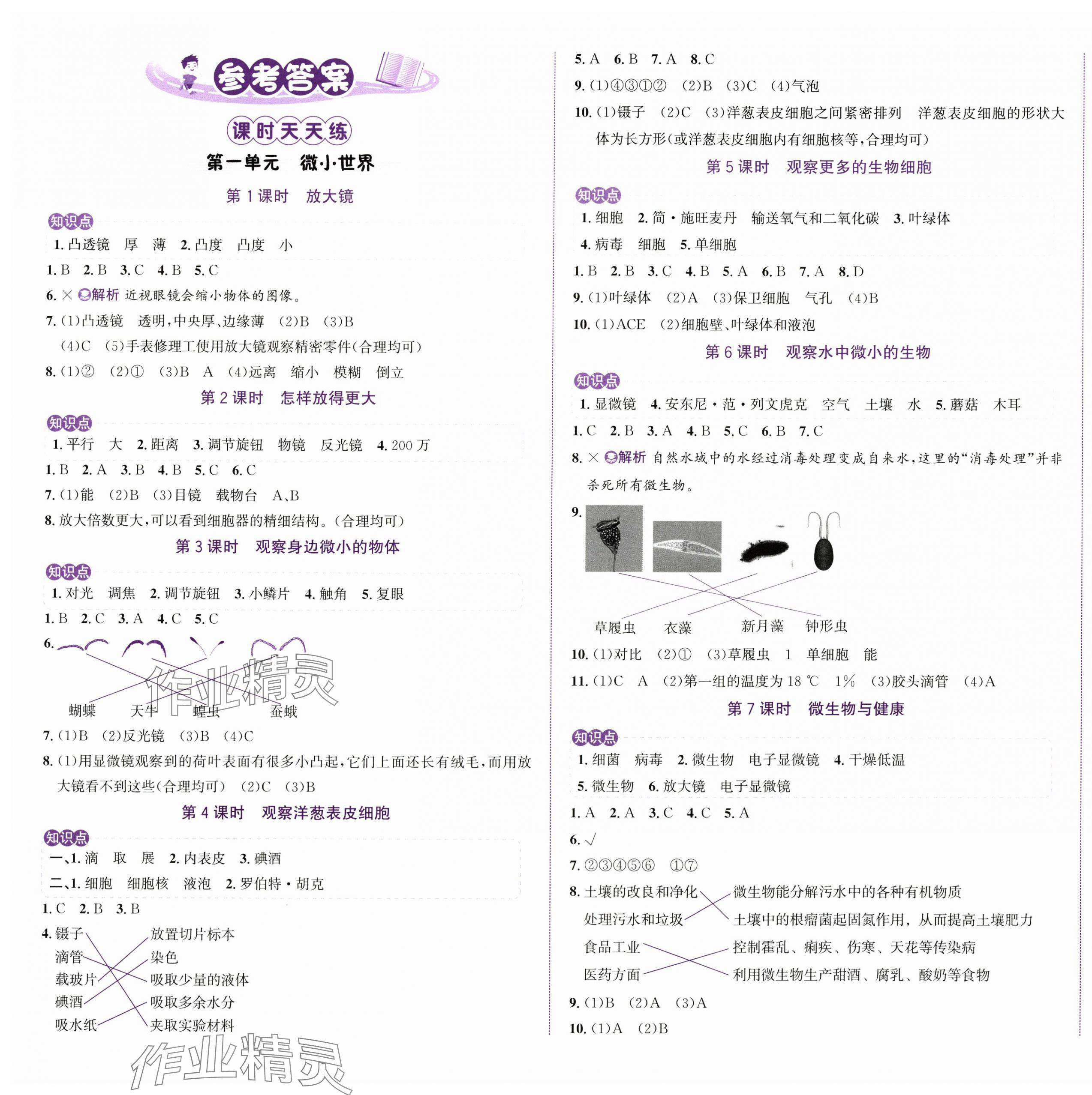 2024年奔跑吧少年六年級科學(xué)上冊教科版 第1頁