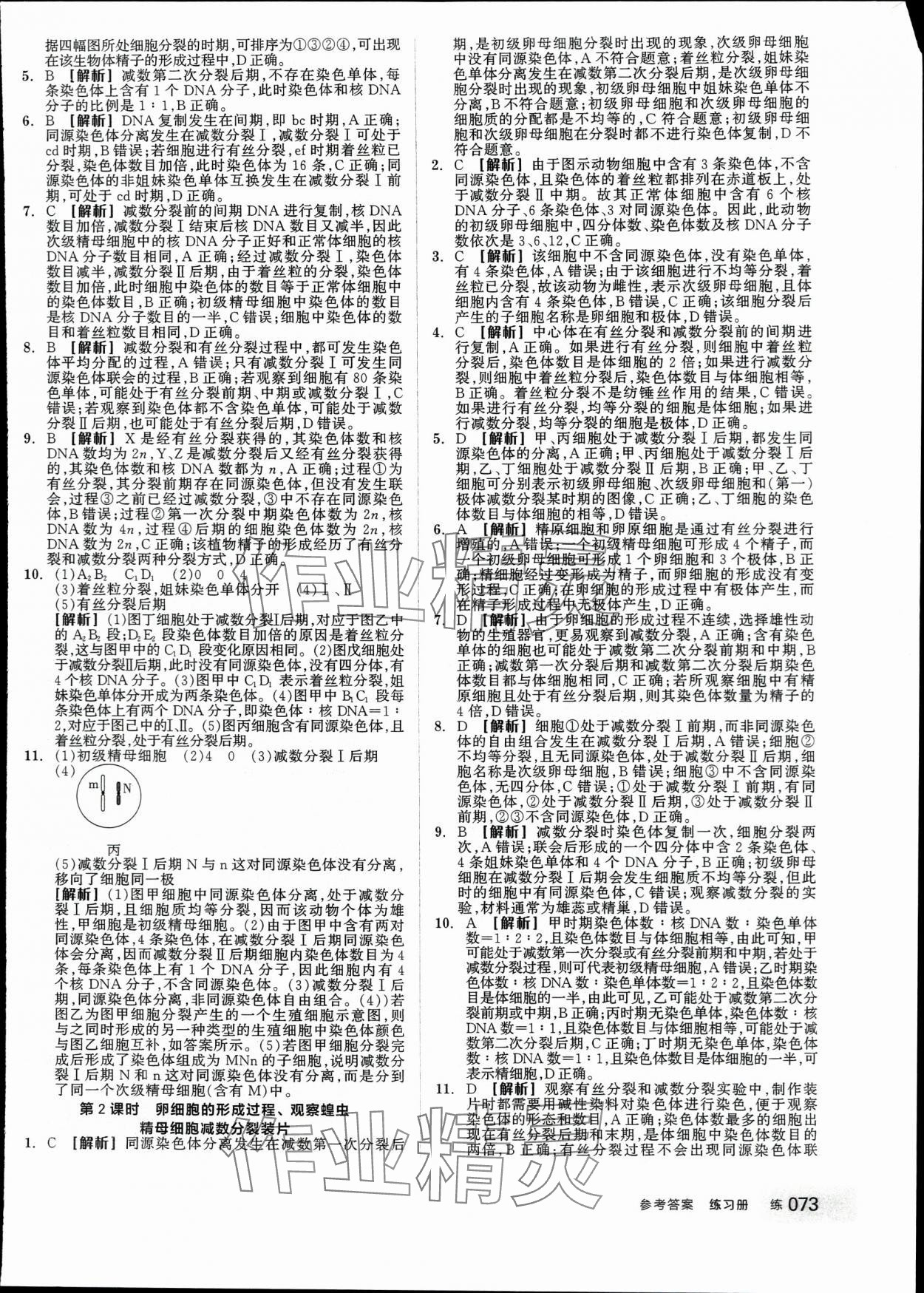 2024年全品學練考高中生物必修2人教版 第7頁