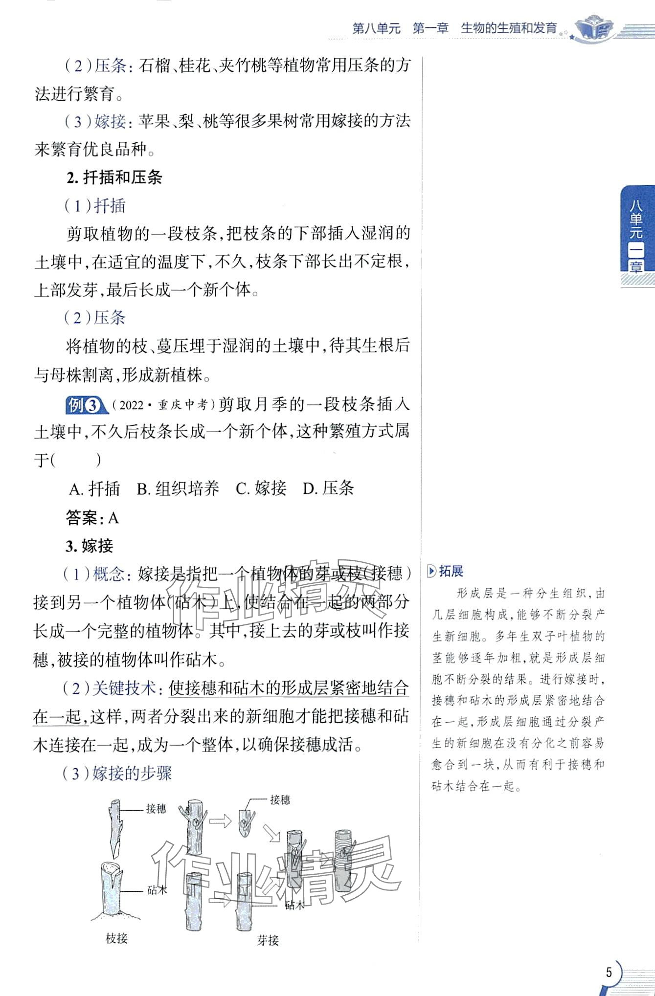 2024年教材課本八年級生物下冊魯科版五四制 第5頁