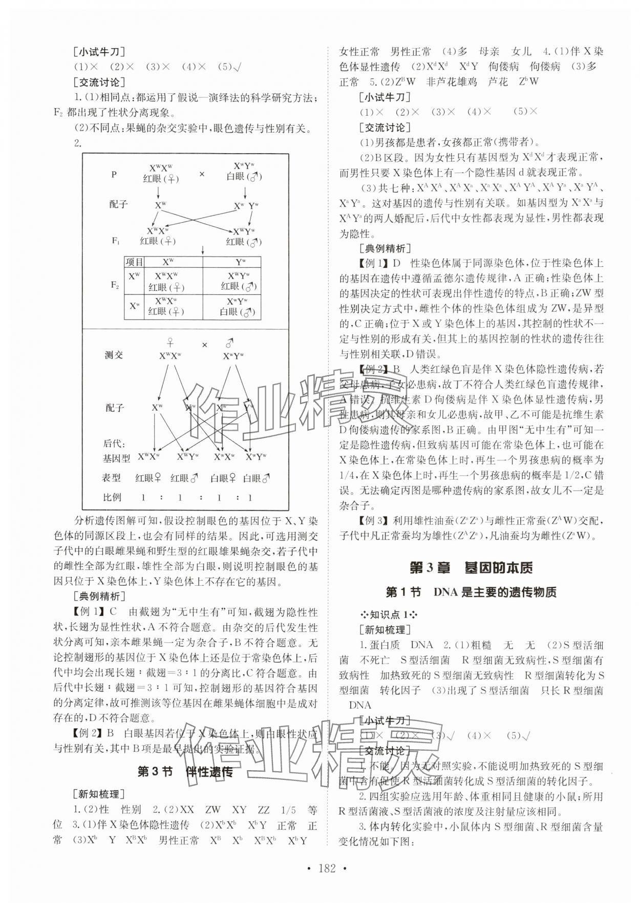 2024年高中同步導(dǎo)練高中生物必修2人教版 參考答案第6頁