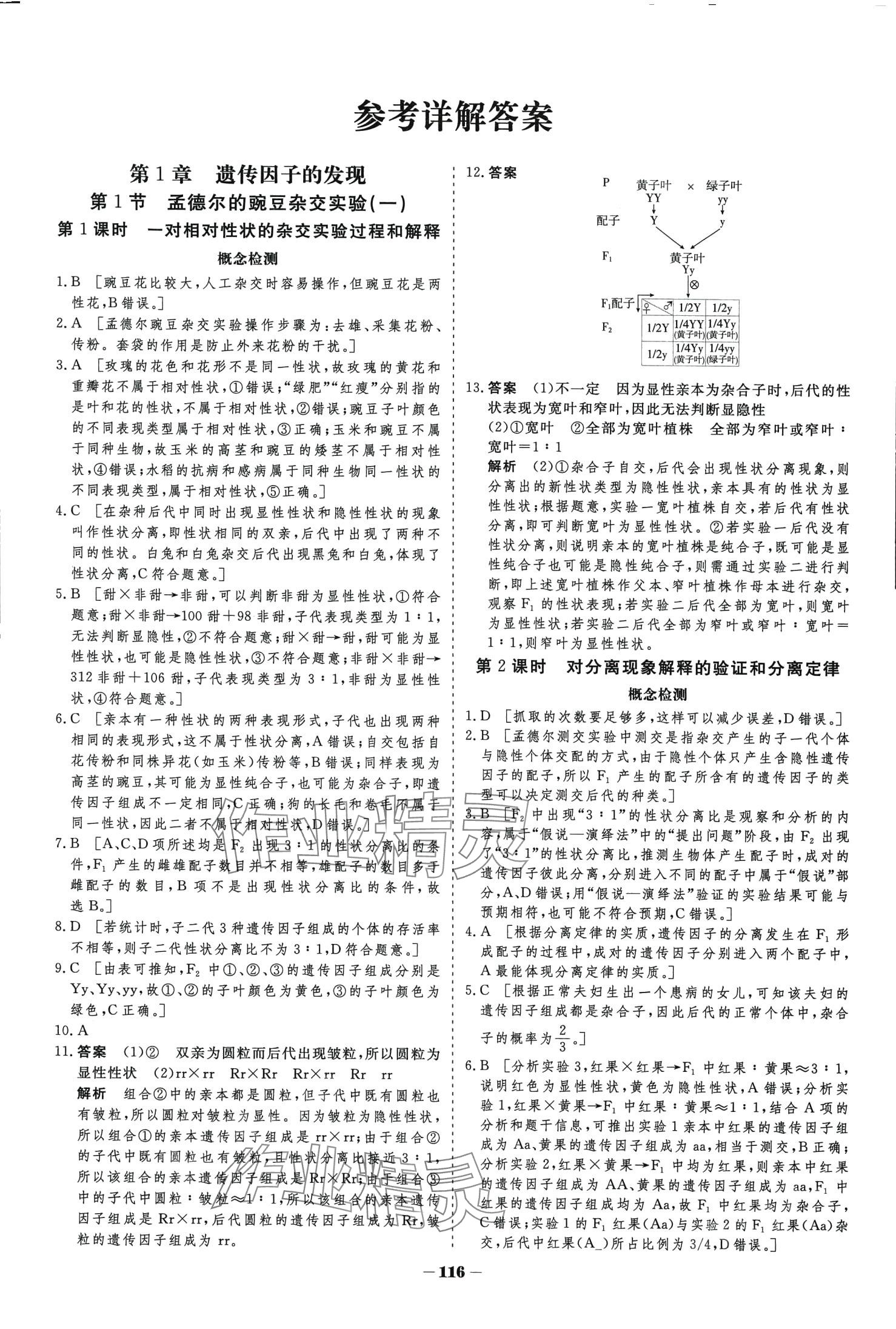 2024年金版教程高中新課程學(xué)習(xí)作業(yè)與測評高中生物必修2人教版 第1頁