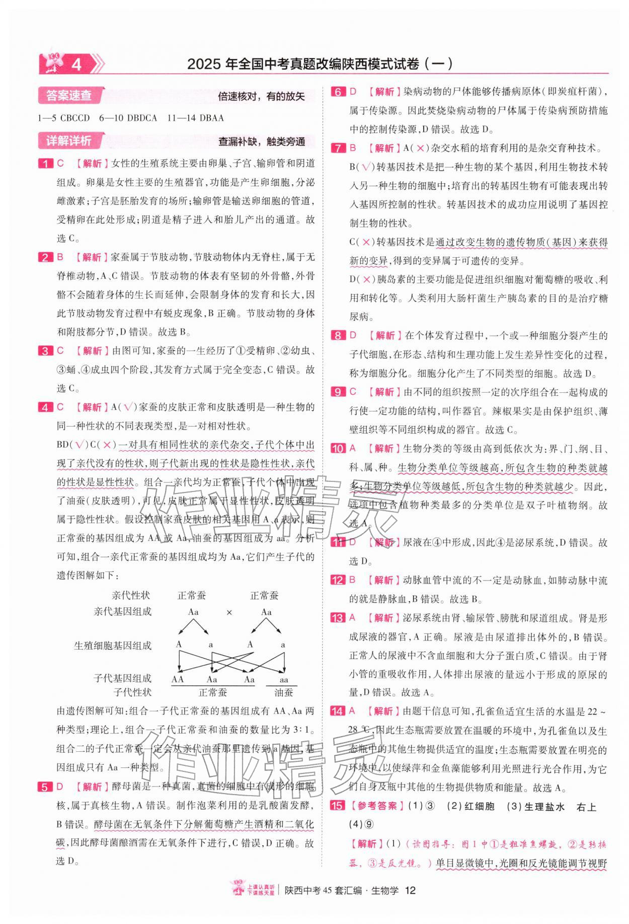 2026年金考卷45套汇编生物中考人教版陕西专版&nbsp;第12页