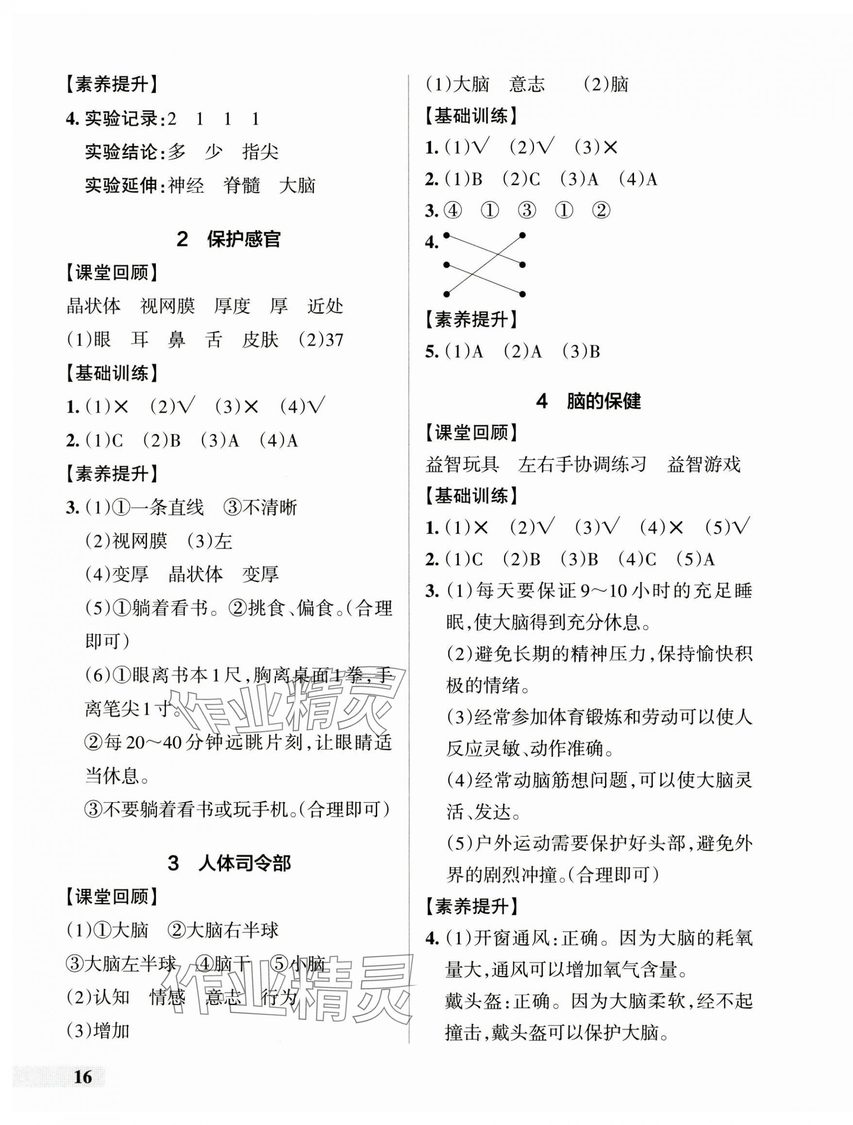 2024年小學(xué)學(xué)霸作業(yè)本五年級(jí)科學(xué)上冊(cè)大象版河南專(zhuān)版 參考答案第3頁(yè)