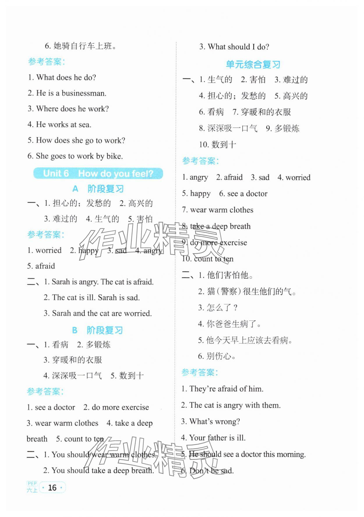 2023年陽光同學默寫小達人六年級英語上冊人教版 參考答案第5頁