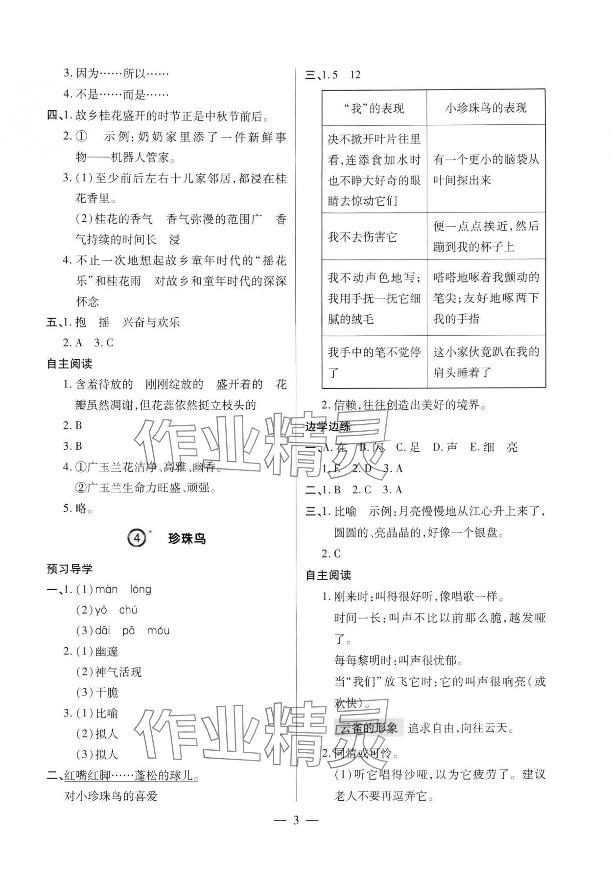2025年新课堂学习与探究五年级语文上册人教版&nbsp;第3页