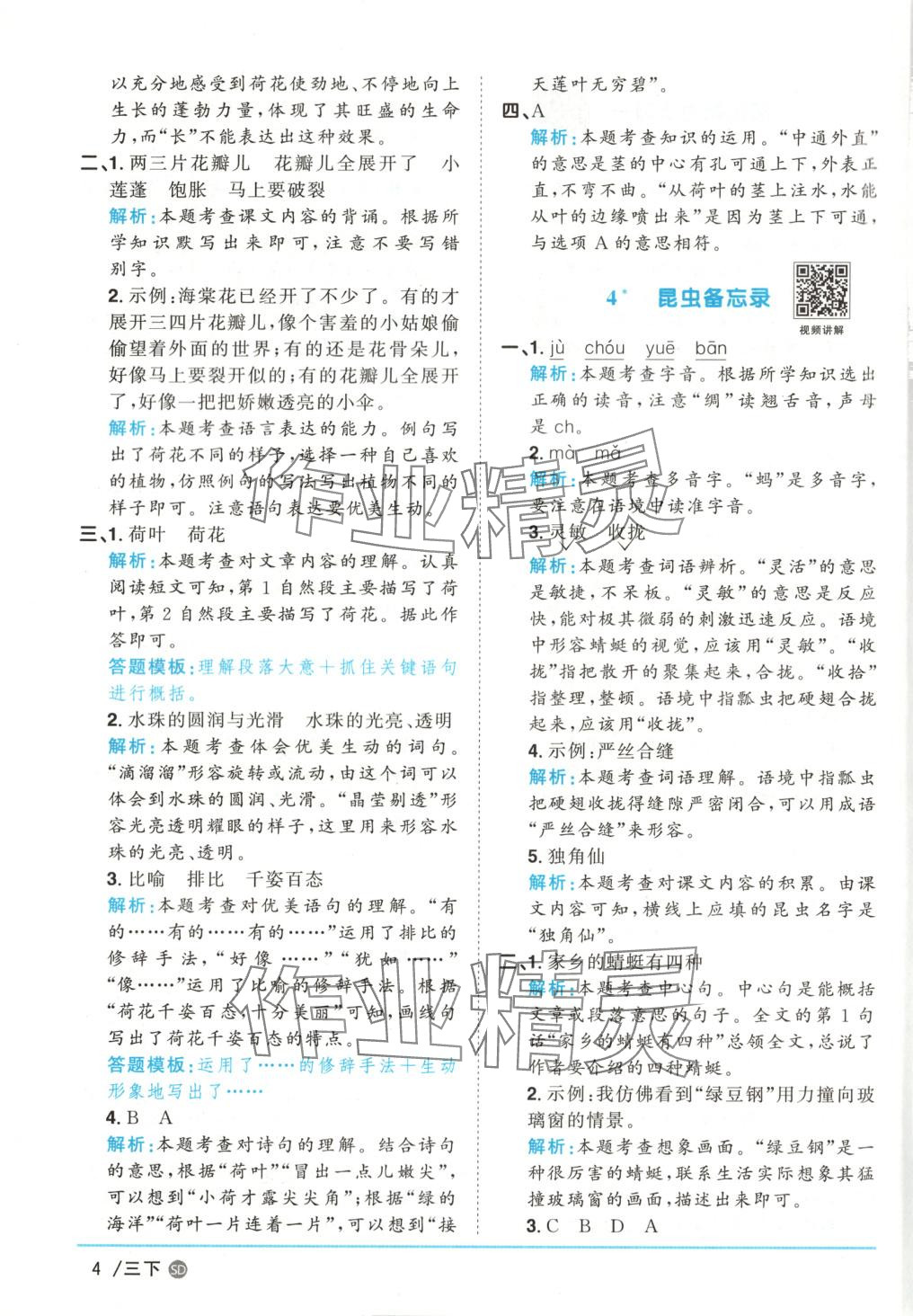 2025年阳光同学课时优化作业三年级语文下册人教版山东专版&nbsp;第4页