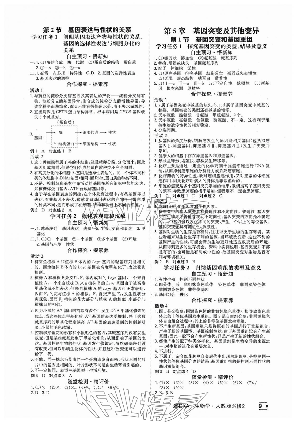 2025年金太陽導(dǎo)學(xué)案高中生物必修2人教版 參考答案第9頁