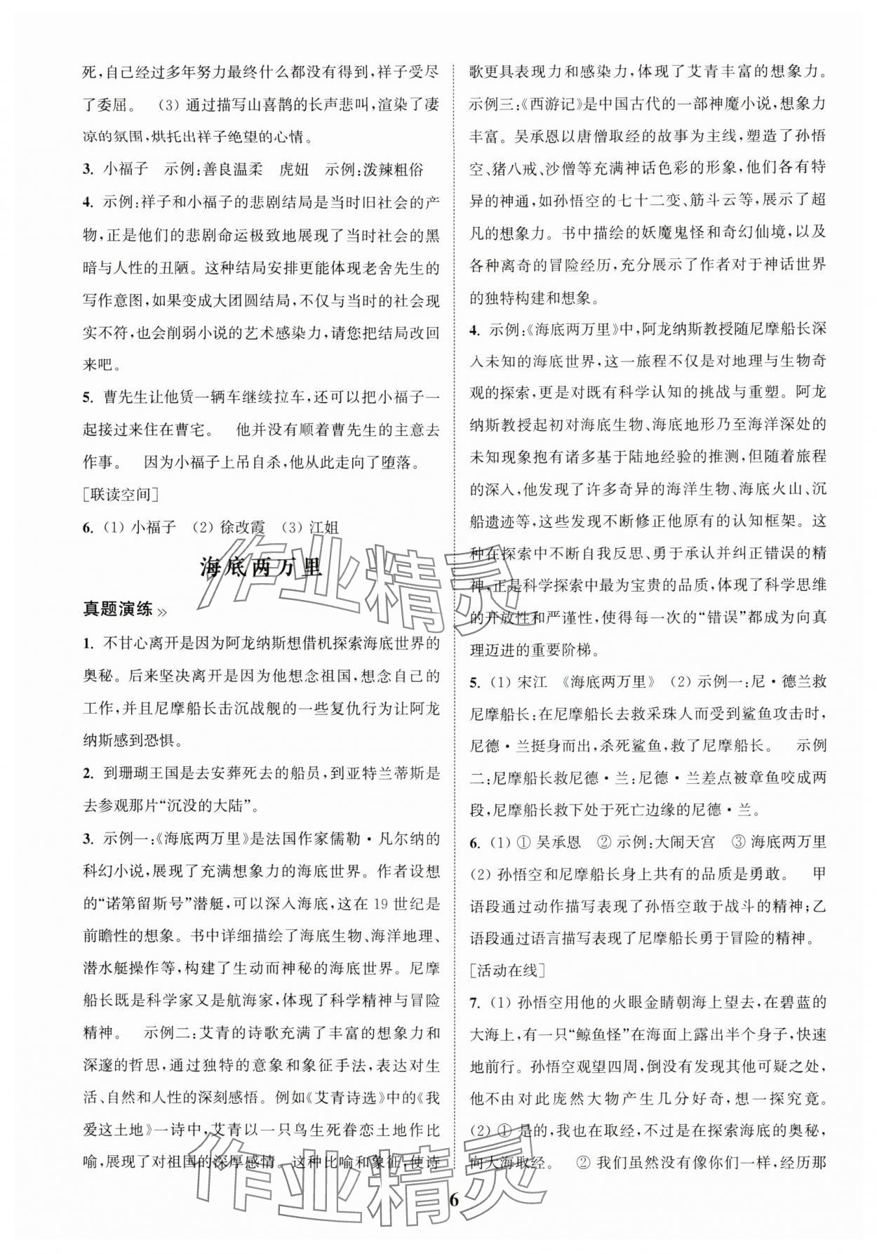 2025年初中名著三維導(dǎo)學(xué)語(yǔ)文中考人教版 第6頁(yè)