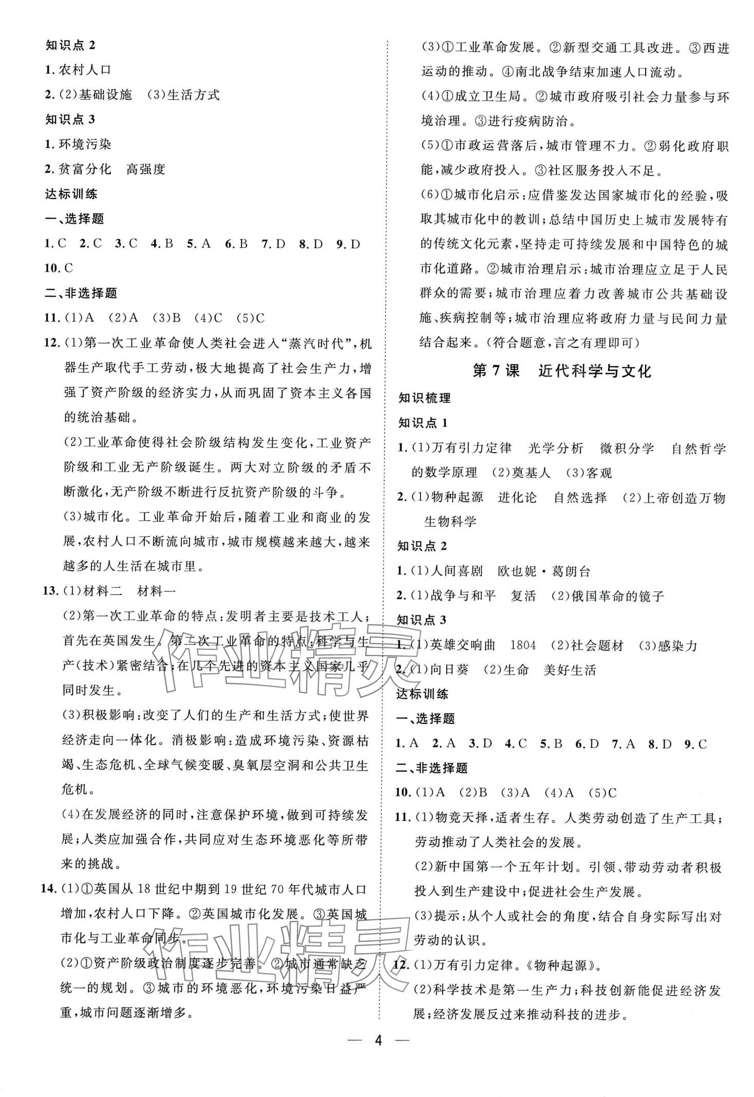 2024年名師課堂南方出版社九年級歷史下冊人教版 第4頁