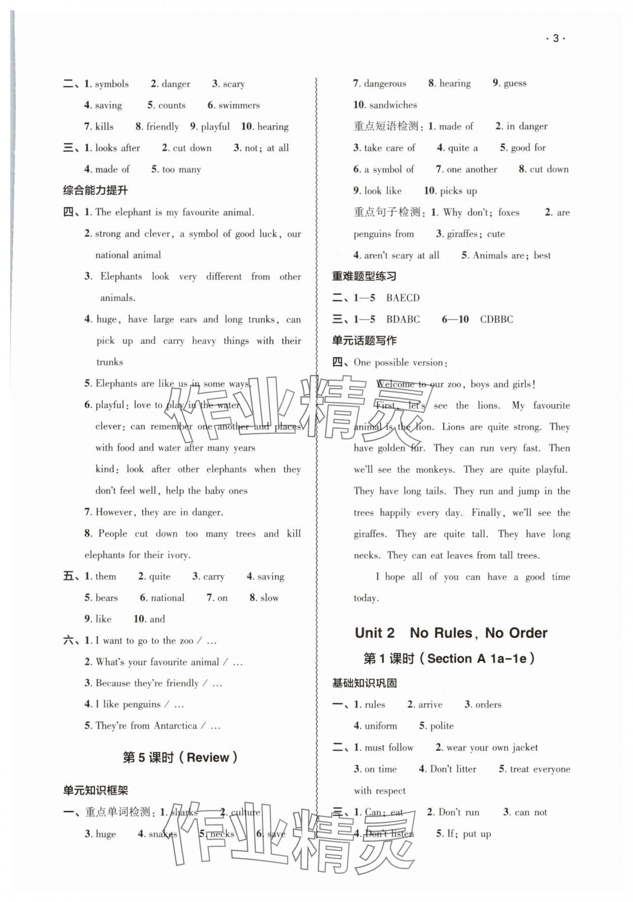 2025年基礎(chǔ)訓(xùn)練大象出版社七年級英語下冊人教版 第3頁