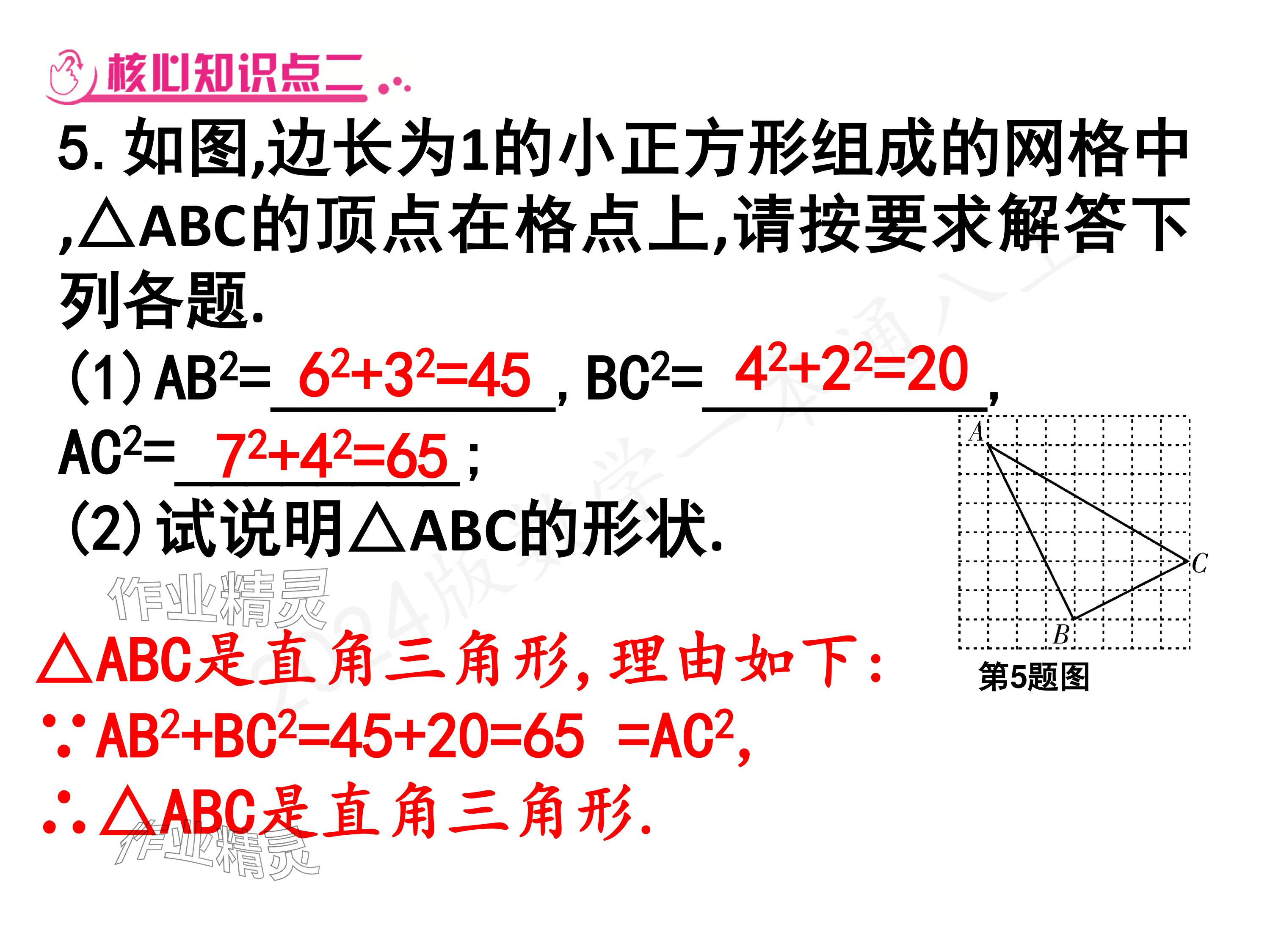 2024年一本通武漢出版社八年級數(shù)學(xué)上冊北師大版核心板 參考答案第19頁