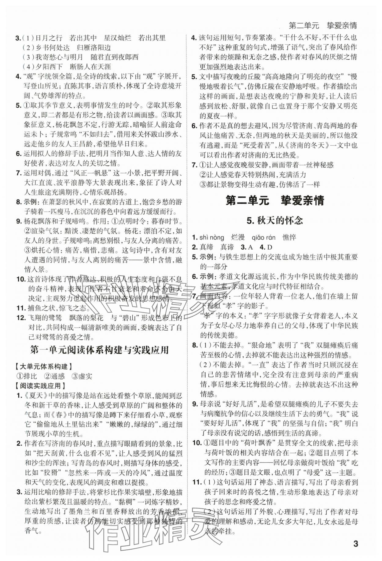 2025年考出好成績七年級語文上冊人教版山東專版 第3頁