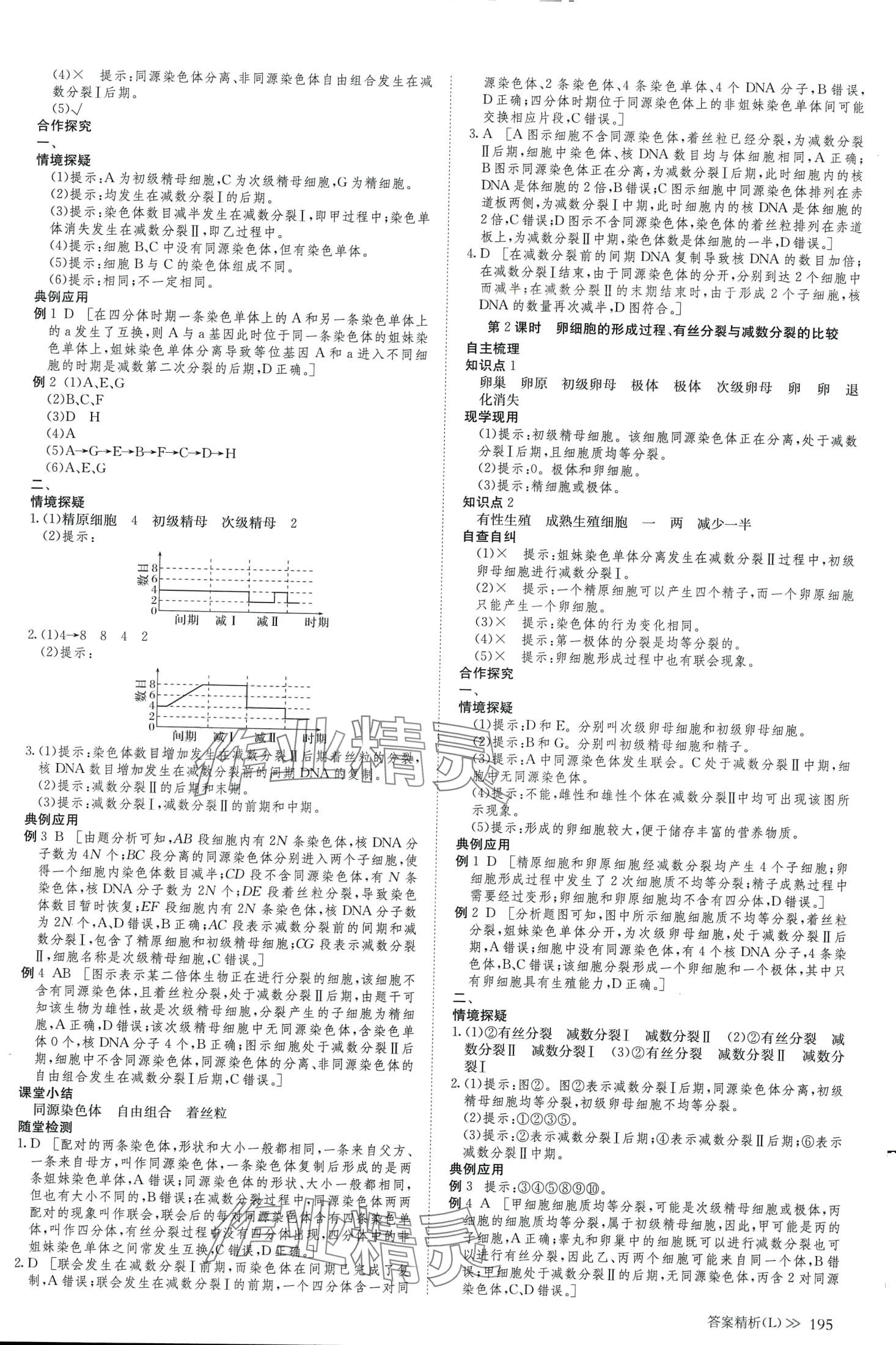 2024年創(chuàng)新設(shè)計(jì)高中生物必修2人教版 第14頁(yè)