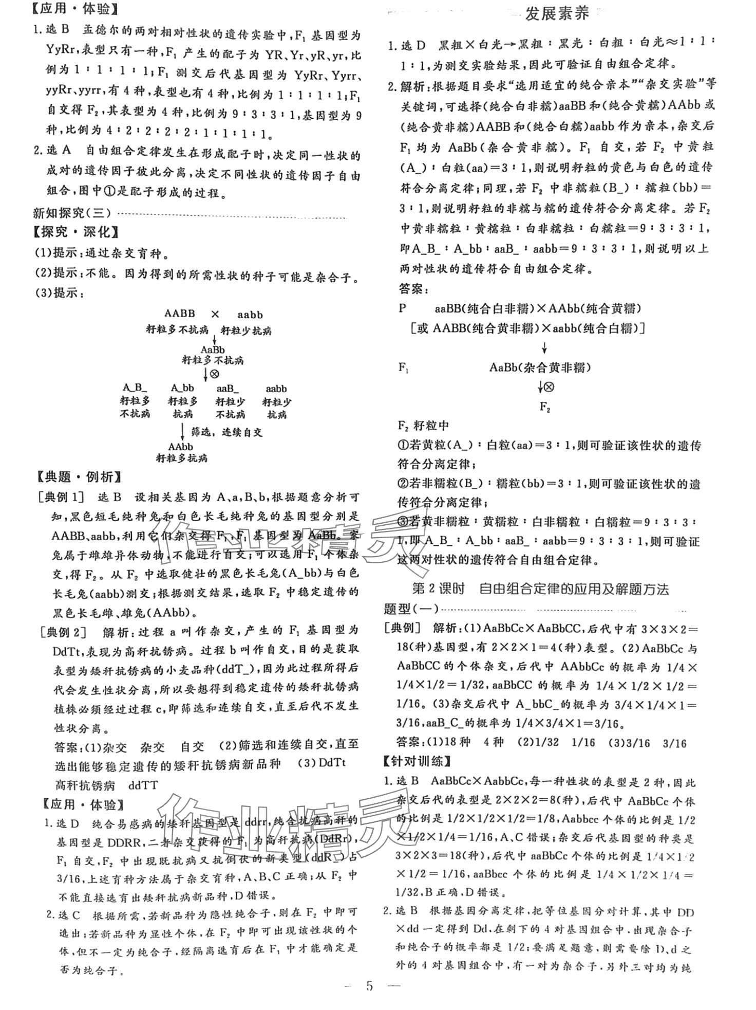 2024年芝麻開花美在課堂高中生物必修2人教版 第5頁