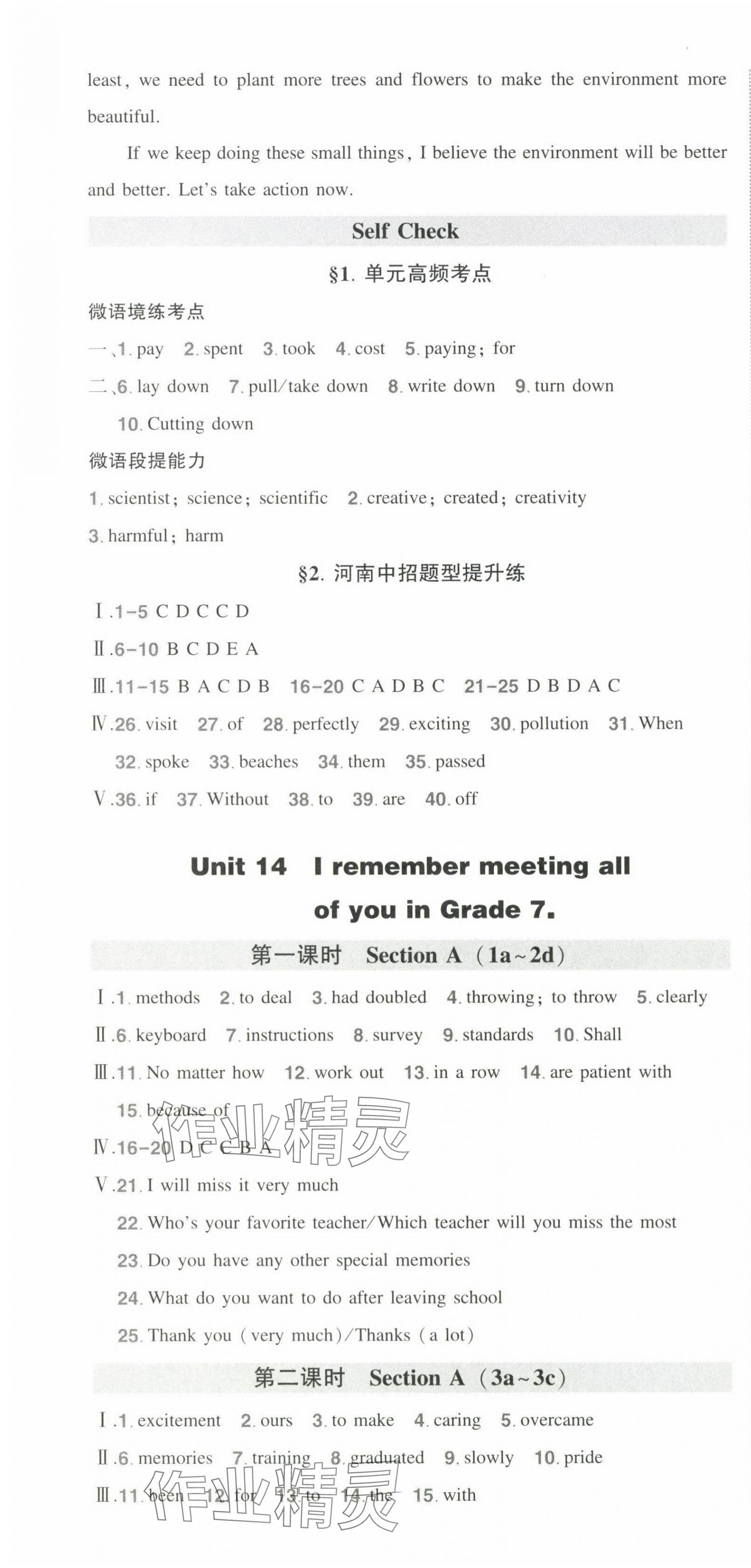 2025年狀元成才路創優作業九年級英語下冊人教版河南專版 第10頁