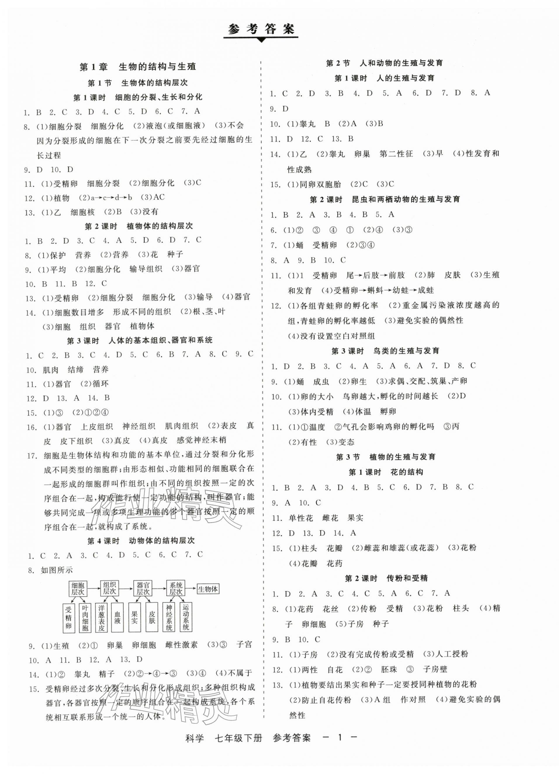2026年精彩三年就练这一本七年级科学下册浙教版&nbsp;第1页