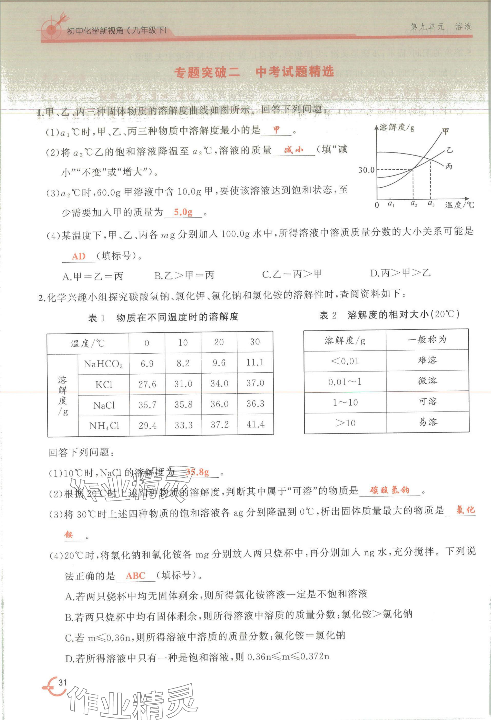 2025年新視角教輔系列叢書化學(xué)九年級下冊人教版 參考答案第31頁