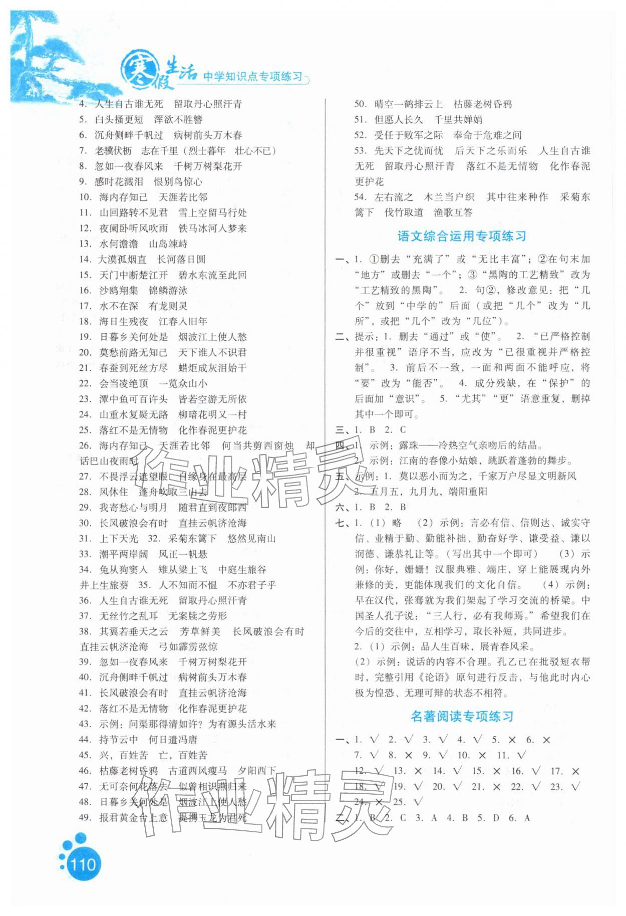2026年寒假生活河北人民出版社九年级语文&nbsp;第2页