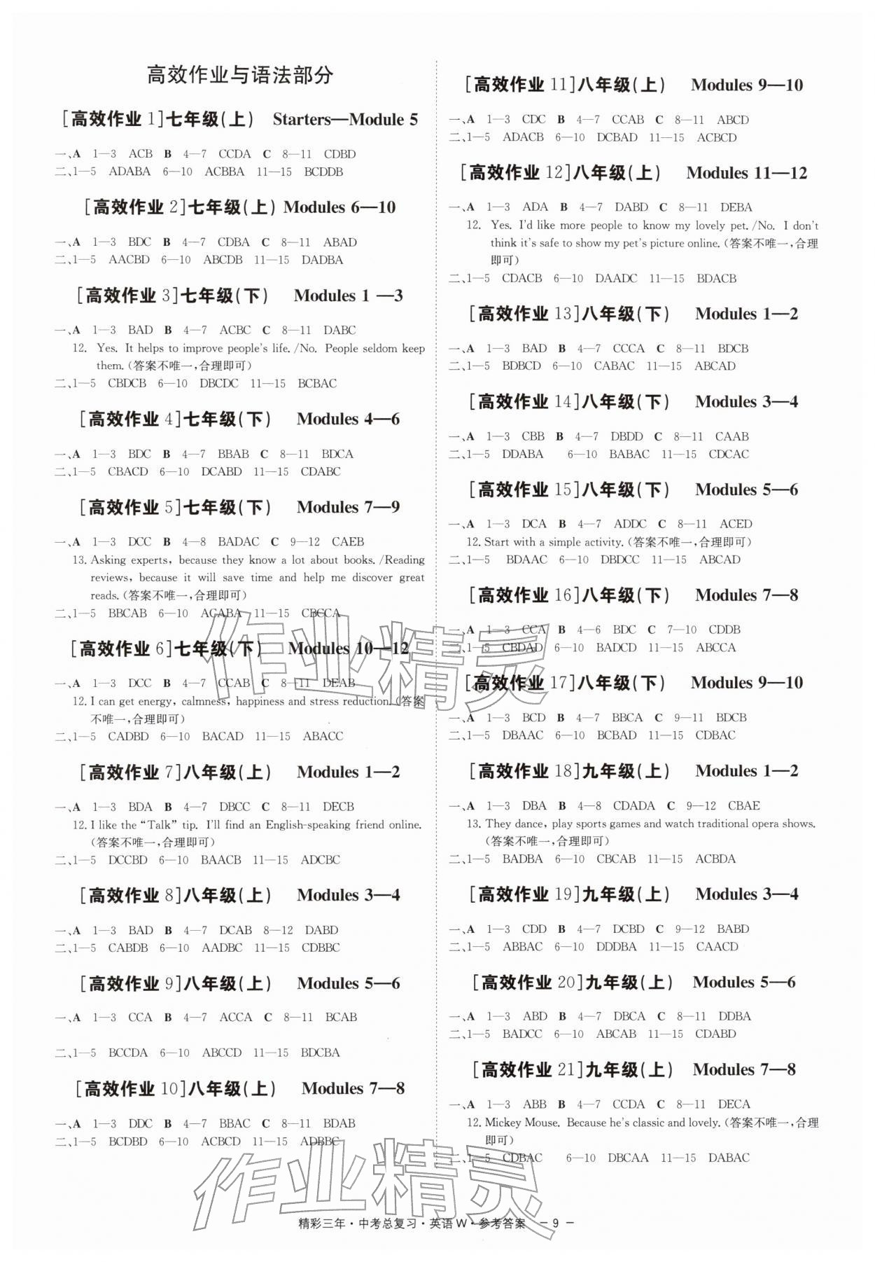 2026年精彩三年中考英语外研版&nbsp;第9页