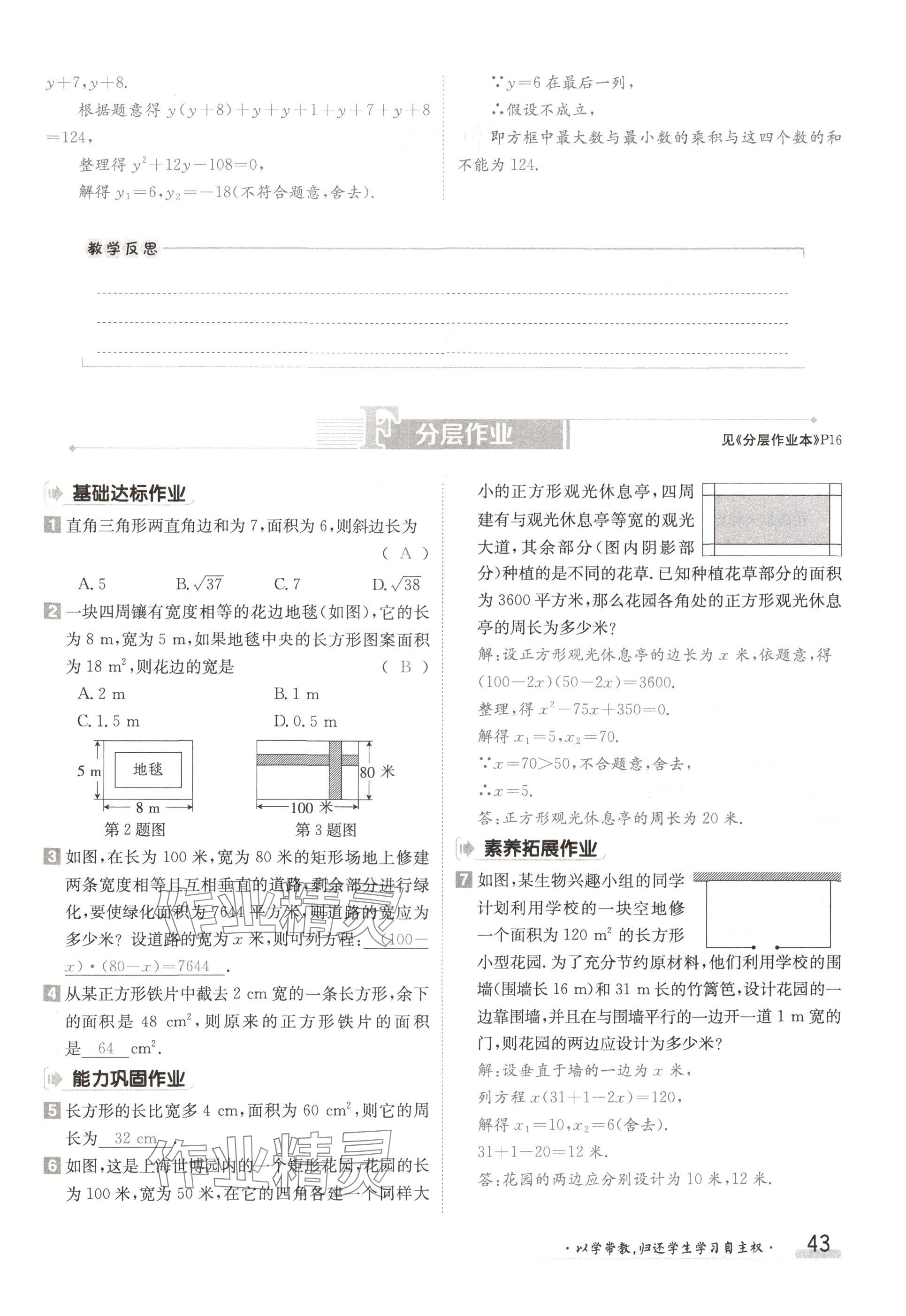 2024年金太阳导学案九年级数学全一册北师大版 参考答案第43页