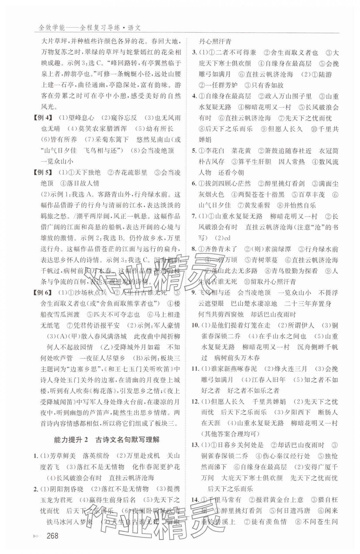 2024年全效學能全程復習導練中考語文 第2頁