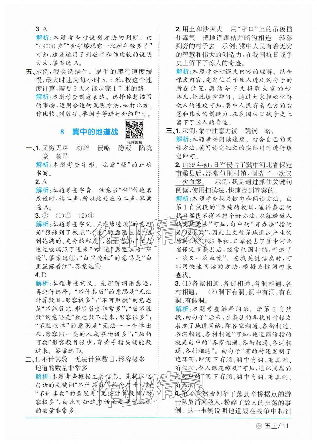 2025年陽光同學課時優(yōu)化作業(yè)五年級語文上冊人教版菏澤專版 第11頁