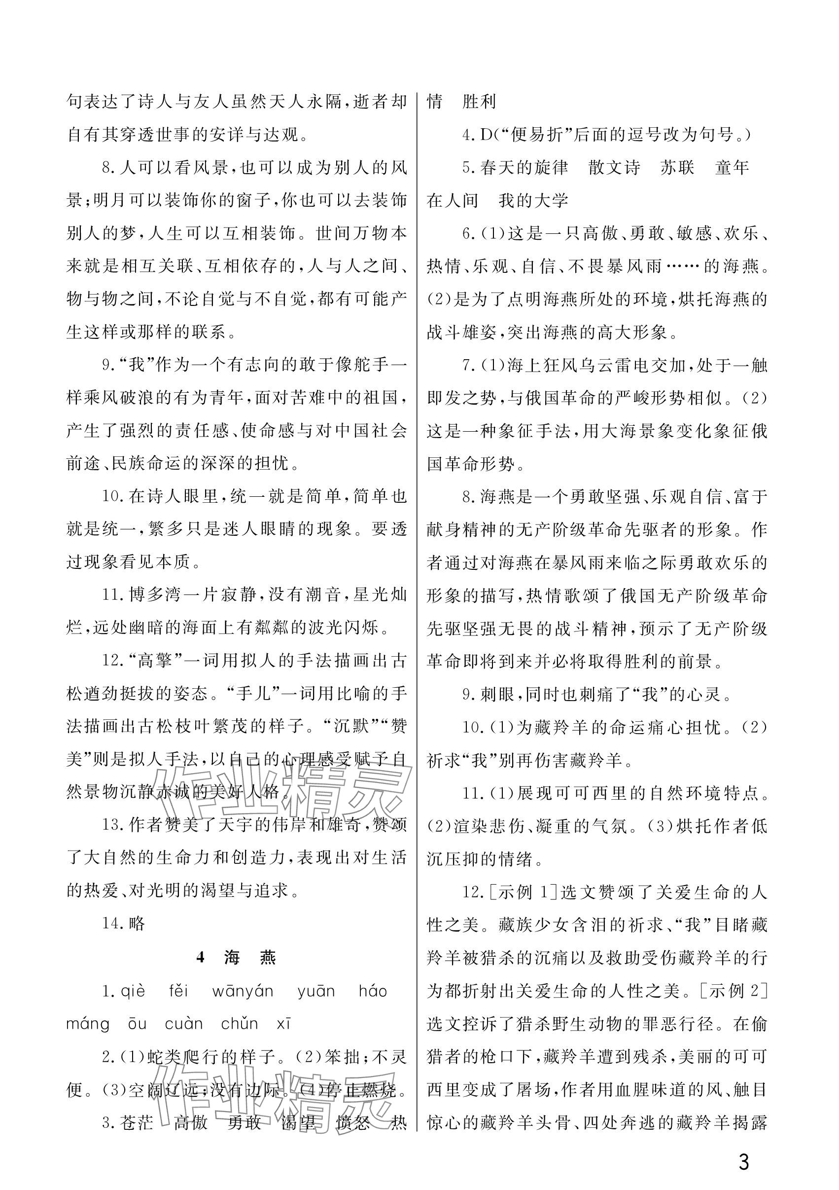 2024年課堂作業(yè)武漢出版社九年級(jí)語(yǔ)文下冊(cè)人教版 參考答案第3頁(yè)