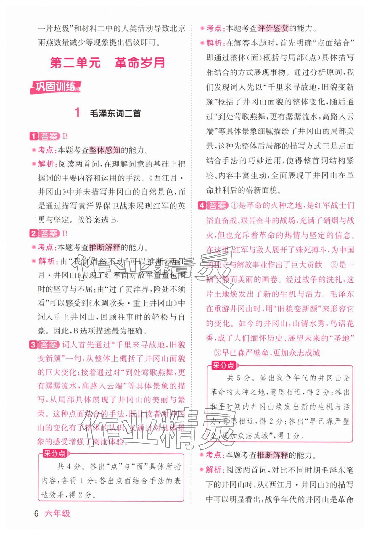 2025年陽光同學(xué)同步閱讀素養(yǎng)測試六年級語文上冊人教版 參考答案第6頁