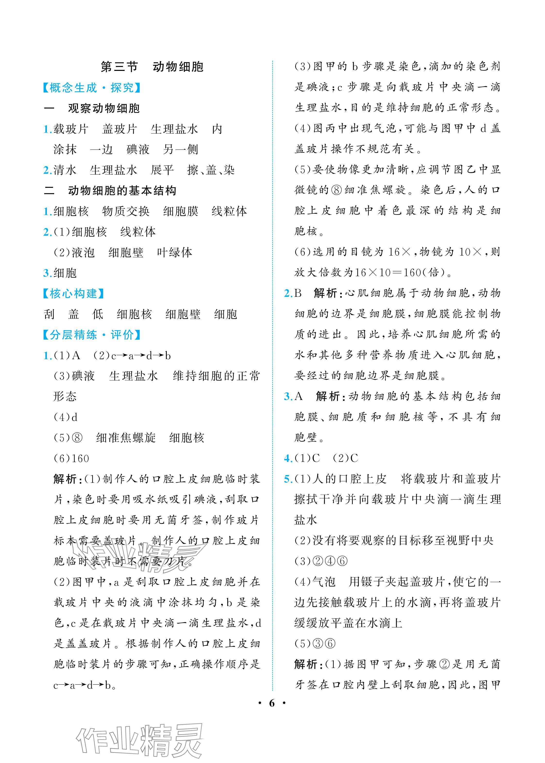 2025年人教金學(xué)典同步解析與測(cè)評(píng)七年級(jí)生物上冊(cè)人教版重慶專版&nbsp;參考答案第6頁