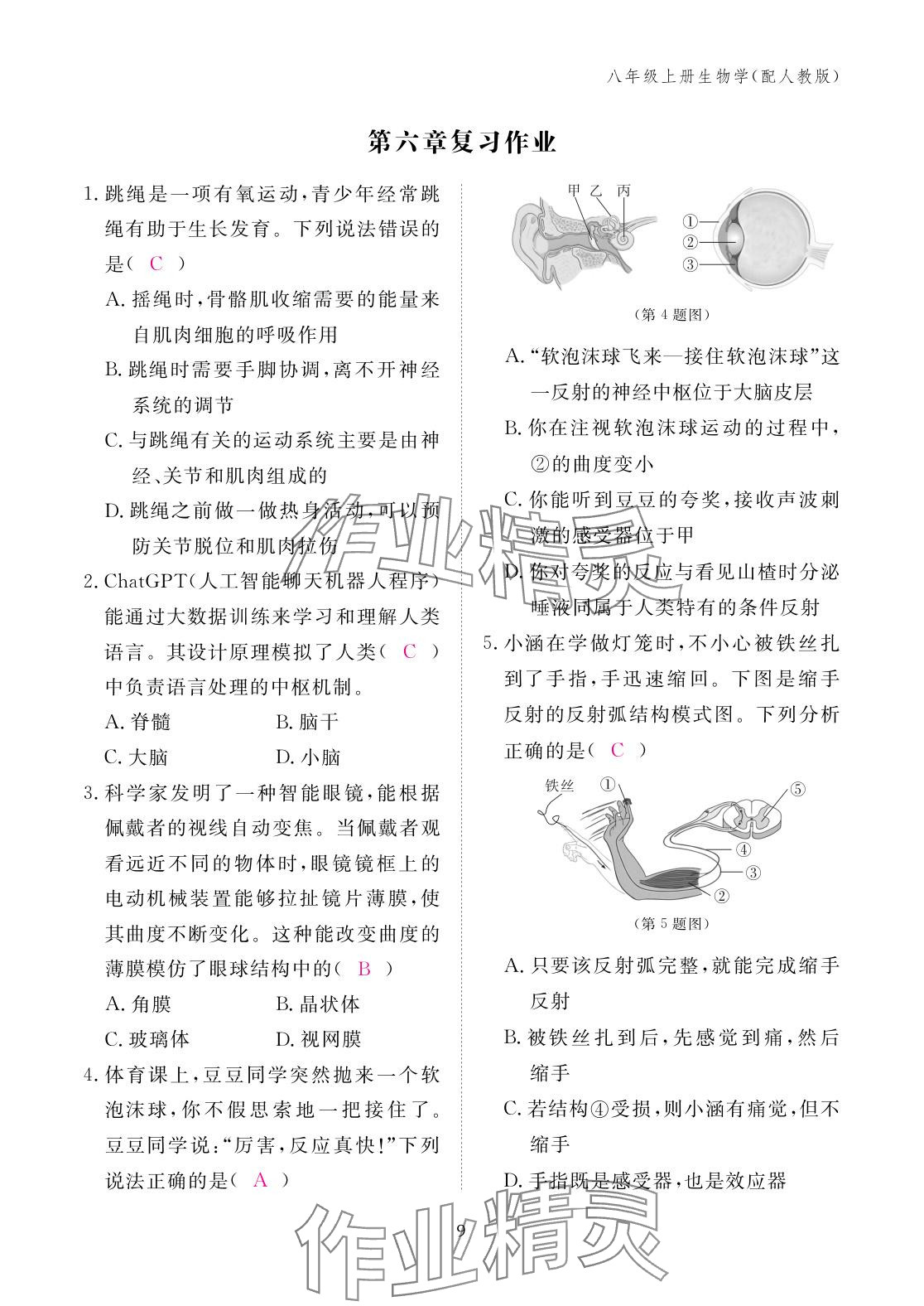 2025年作業本江西教育出版社八年級生物上冊人教版&nbsp;參考答案第9頁