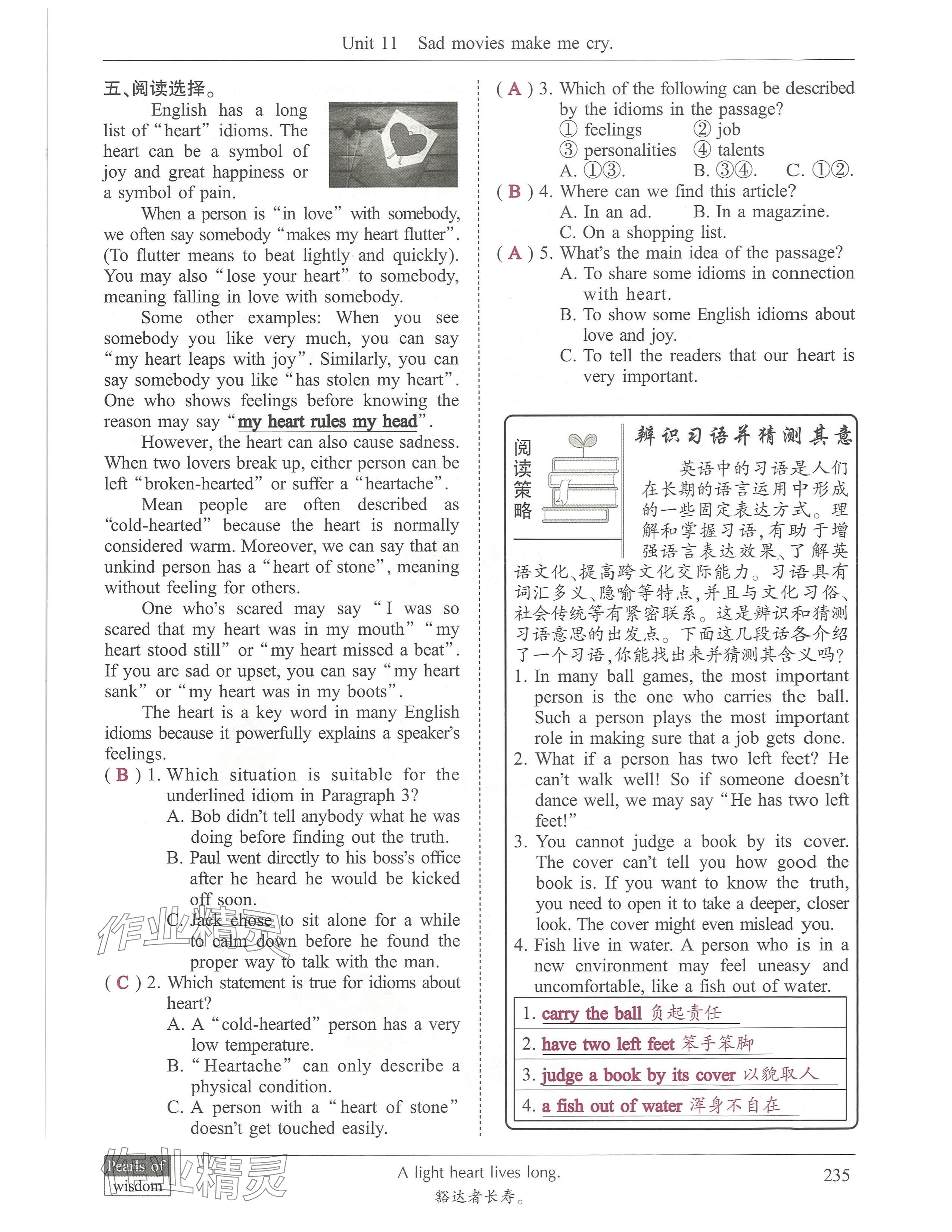 2024年新視界初中英語九年級英語下冊人教版 參考答案第14頁