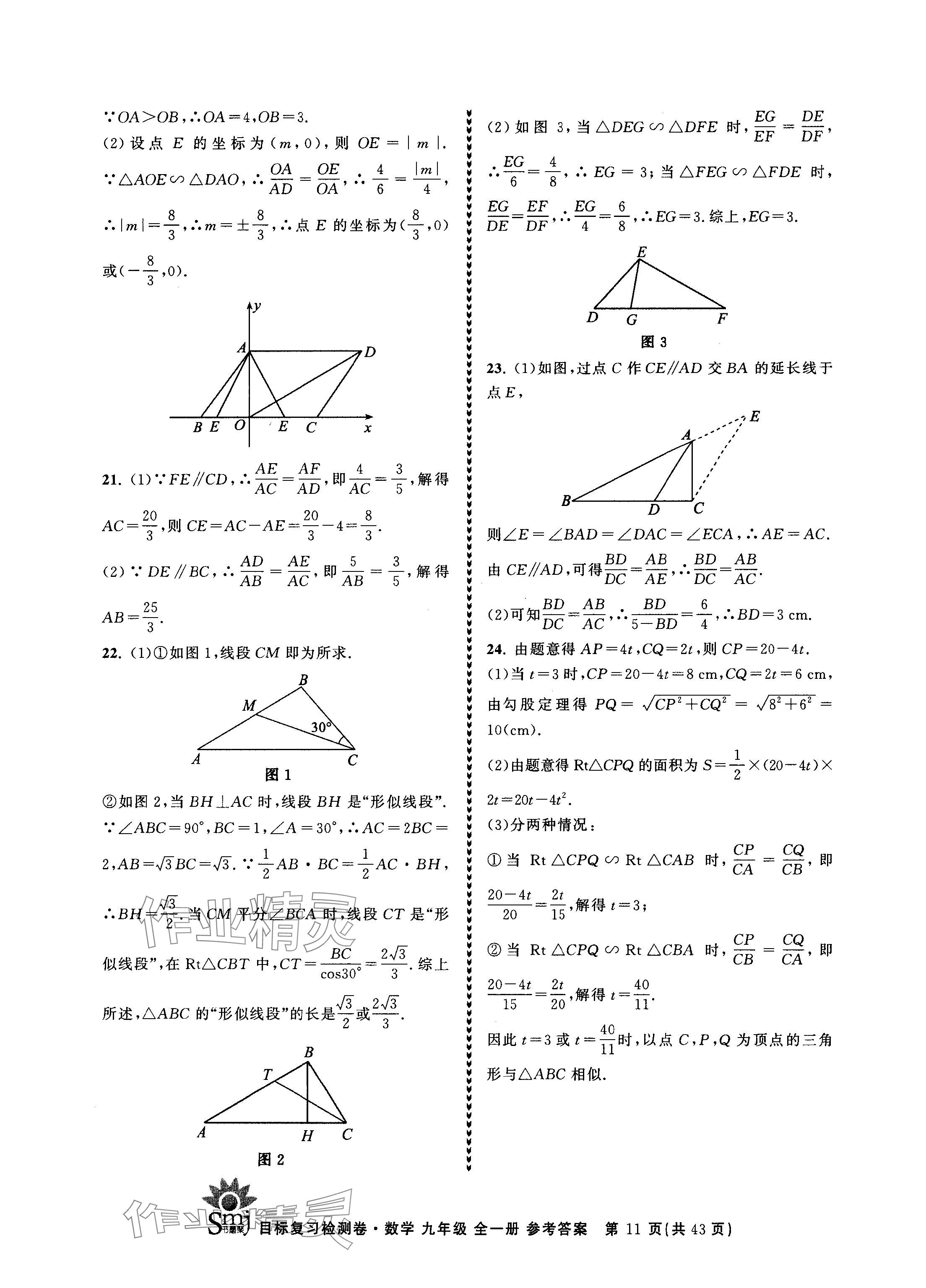 2024年目標(biāo)復(fù)習(xí)檢測卷九年級數(shù)學(xué)全一冊浙教版 參考答案第11頁