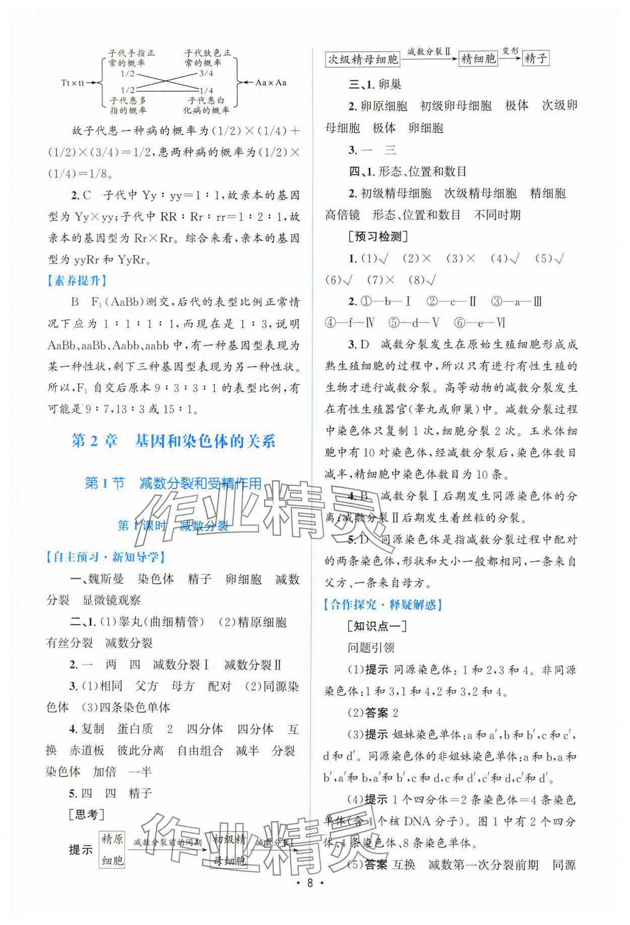 2025年高中同步測(cè)控優(yōu)化設(shè)計(jì)高中生物必修2人教版增強(qiáng)版 參考答案第7頁