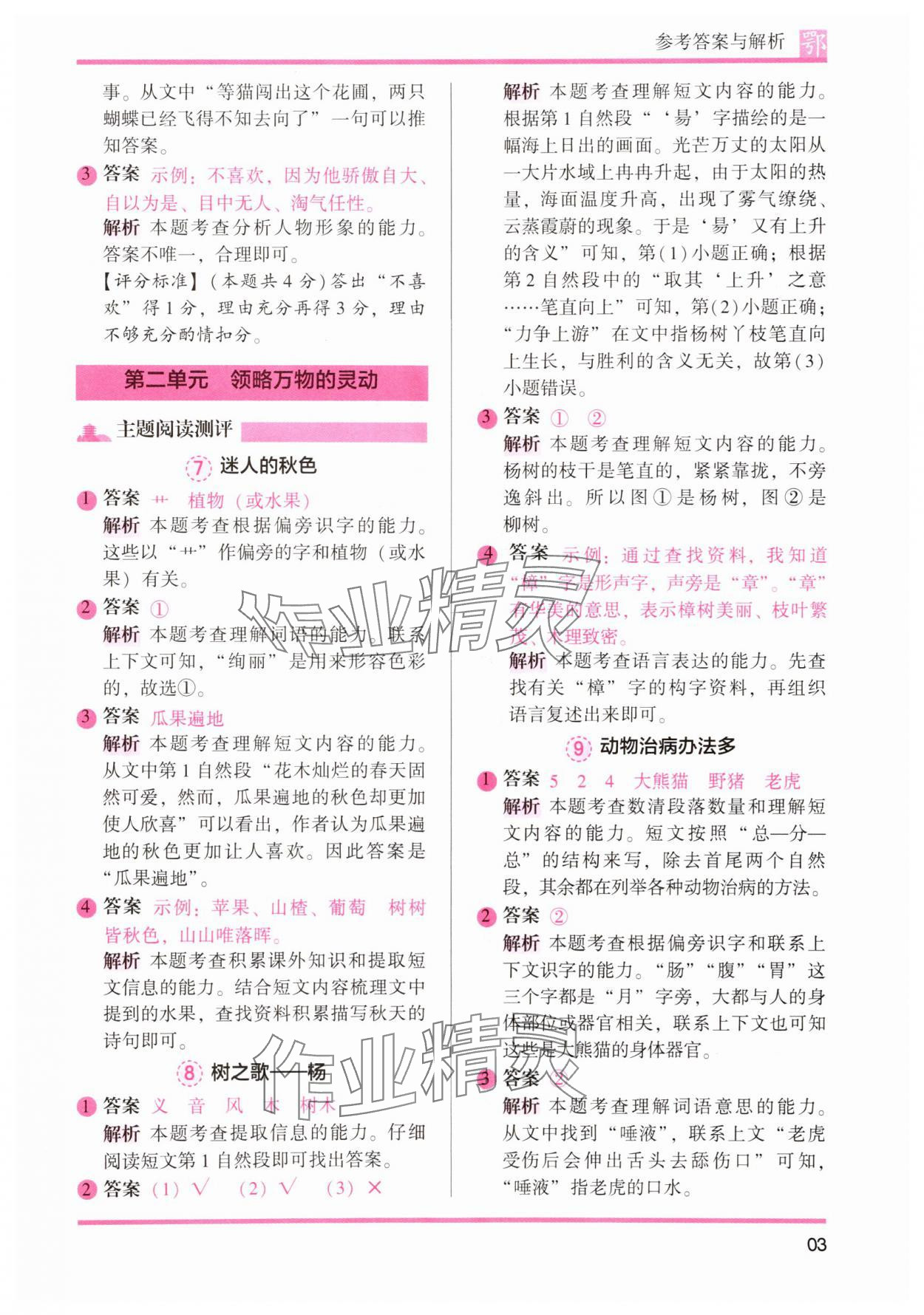 2025年木頭馬閱讀力測評二年級語文全一冊人教版A版武漢專版 第3頁