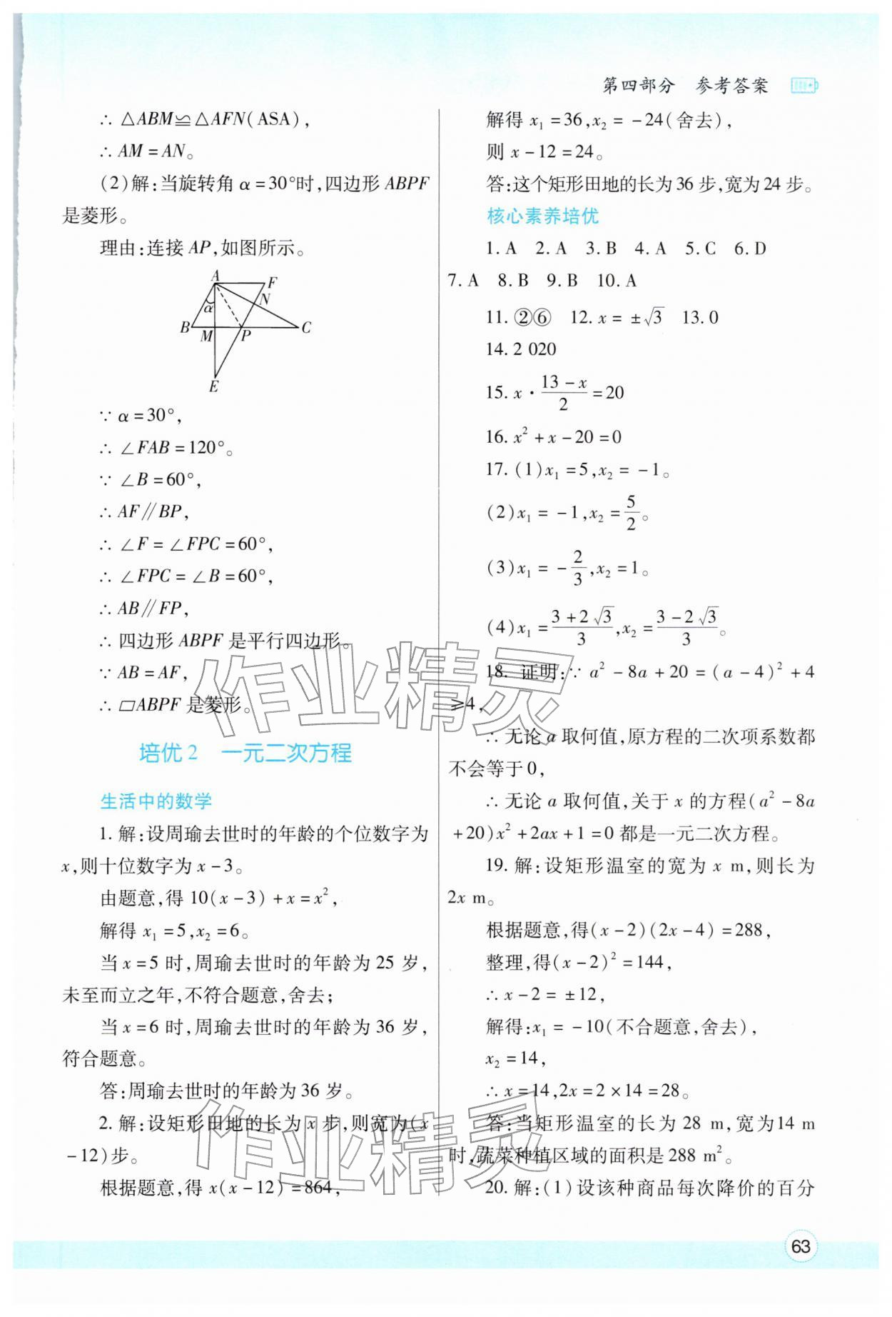 2026年寒假作业与生活陕西师范大学出版总社九年级数学北师大版&nbsp;第3页