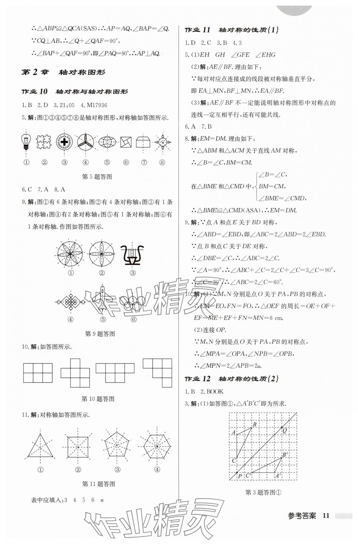 2024年启东中学作业本八年级数学上册苏科版徐州专版 参考答案第11页